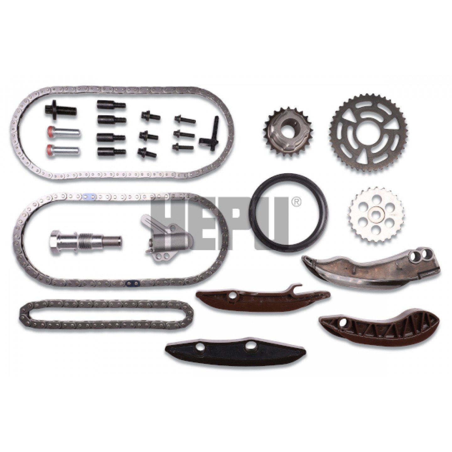 Timing Chain Kit HEPU 21 0421 Trodo