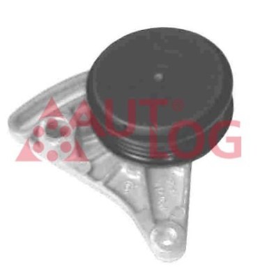 Rullo Tenditore, Cinghia Poly-V Autlog RT1133