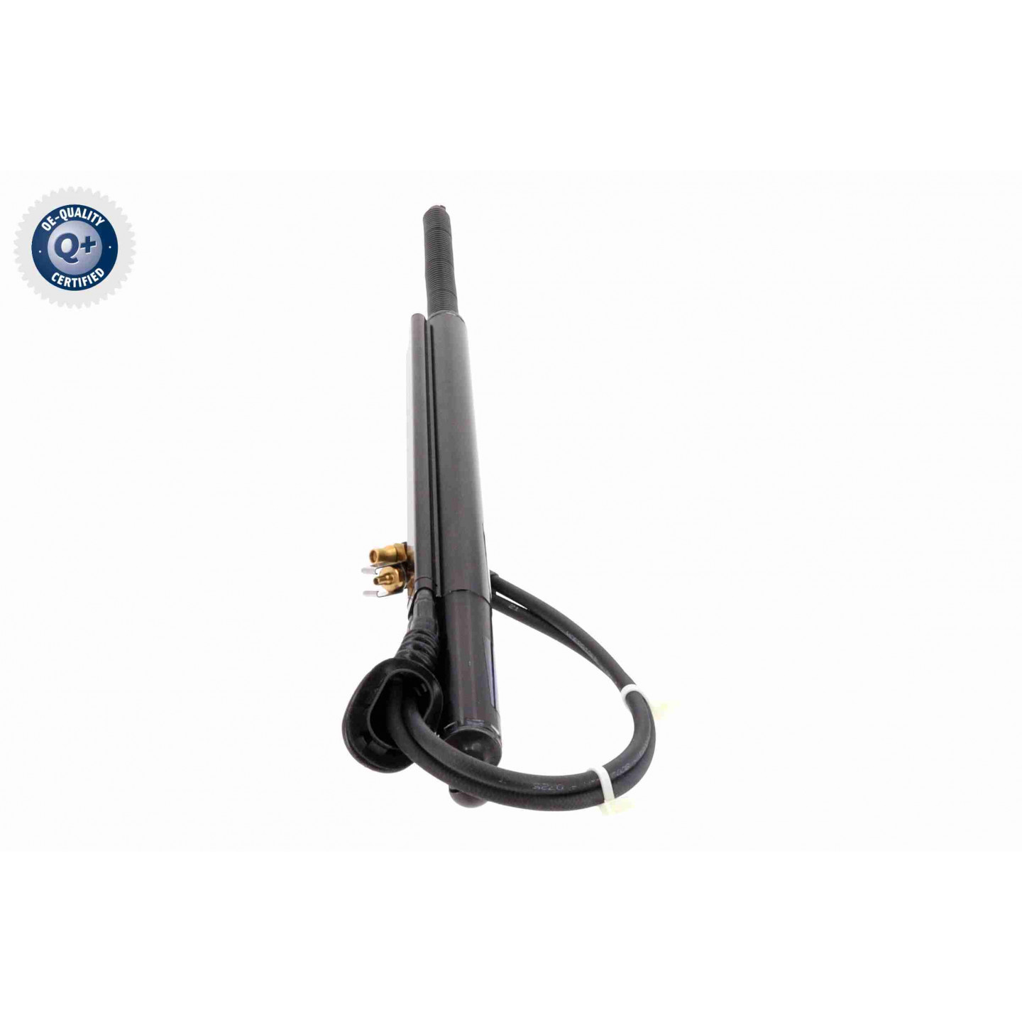 VAICO V40-0453 - Sospensione, Motore