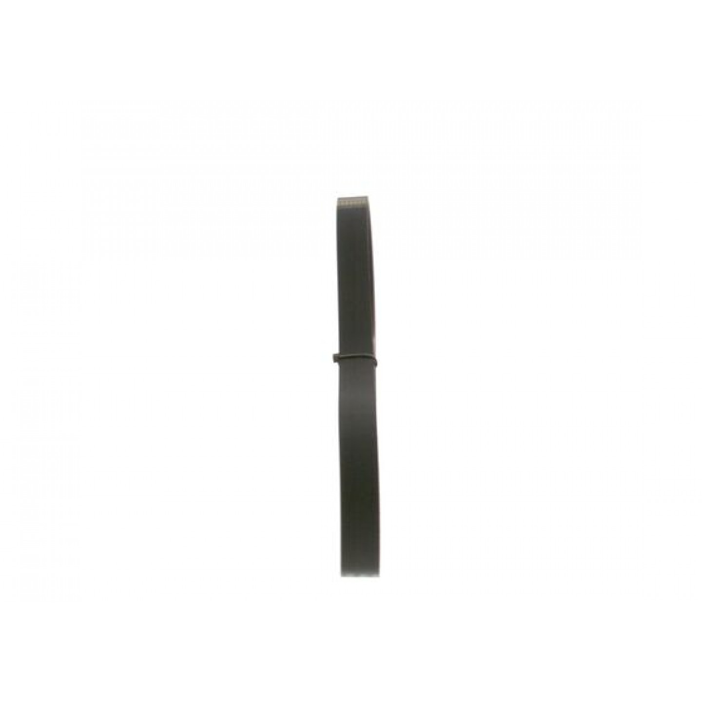 FEBI BILSTEIN 37538 Cinghia servizi