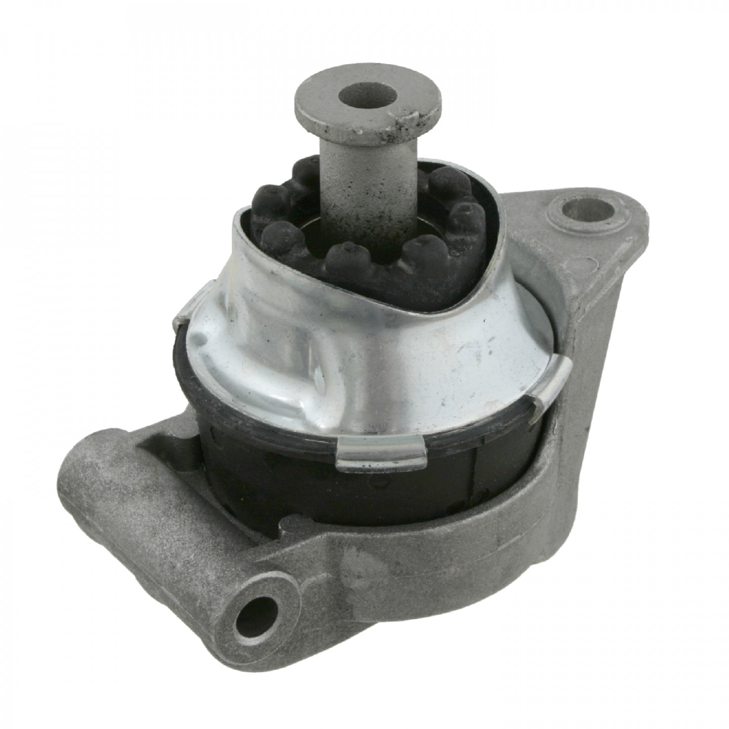 TEM098 DELPHI Supporto motore posteriore | Inserisca subito un ordine