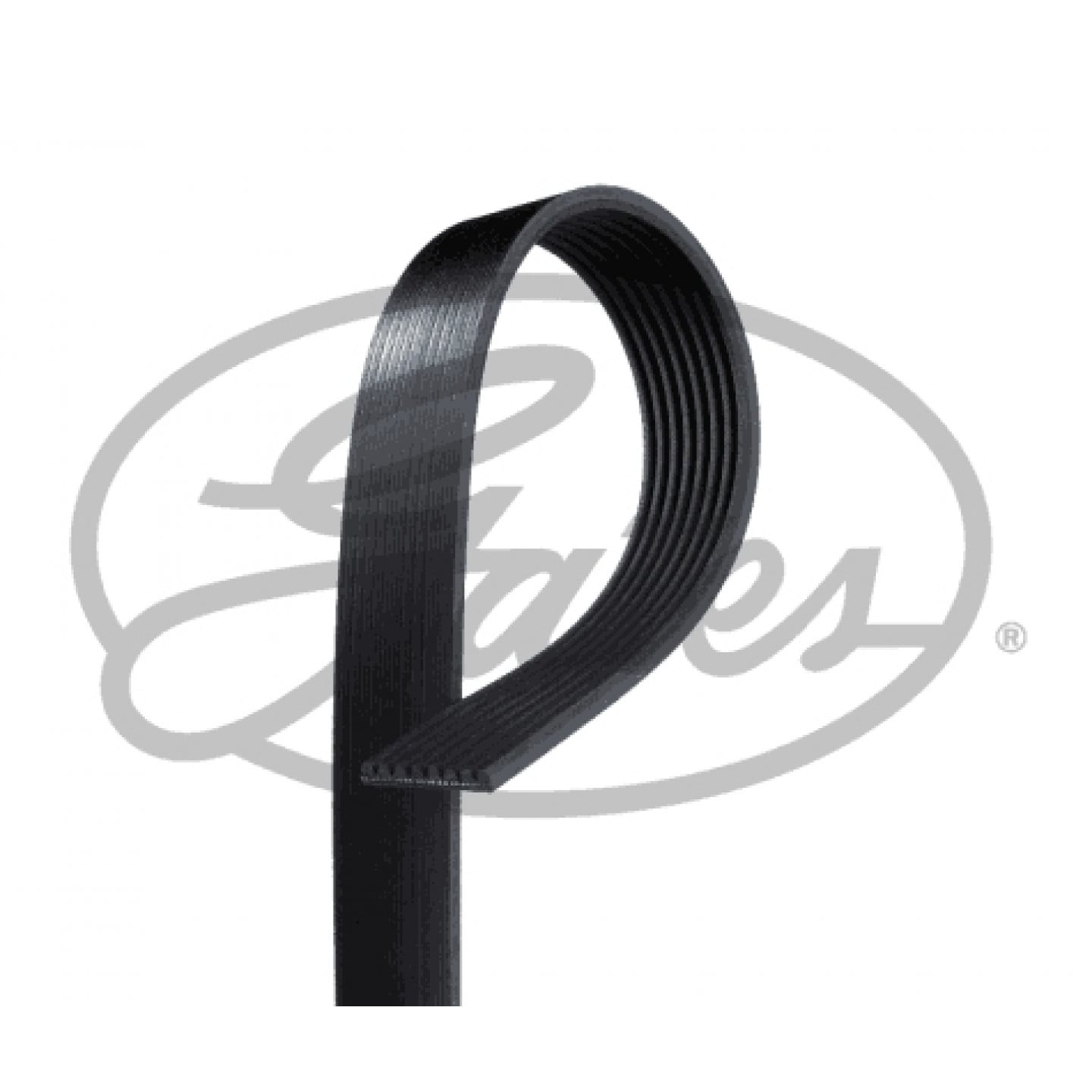 Correa auxiliar-v GATES 8PK1035ES