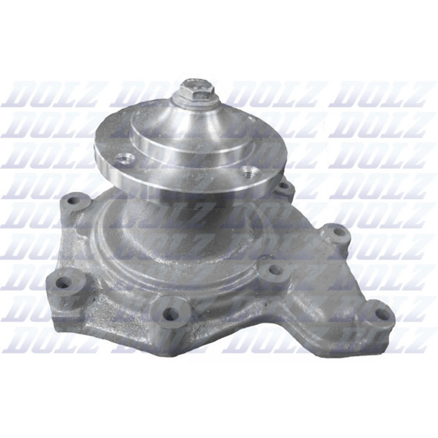 Pompe à eau DOLZ D217