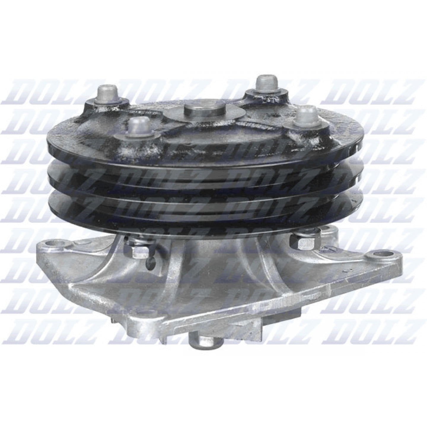 Pompe à eau DOLZ H208