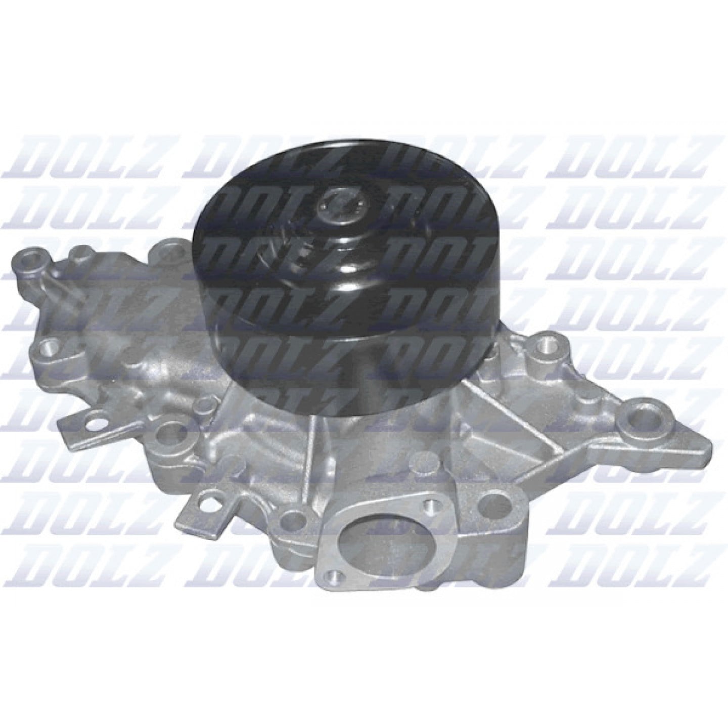 Pompe à eau DOLZ M226