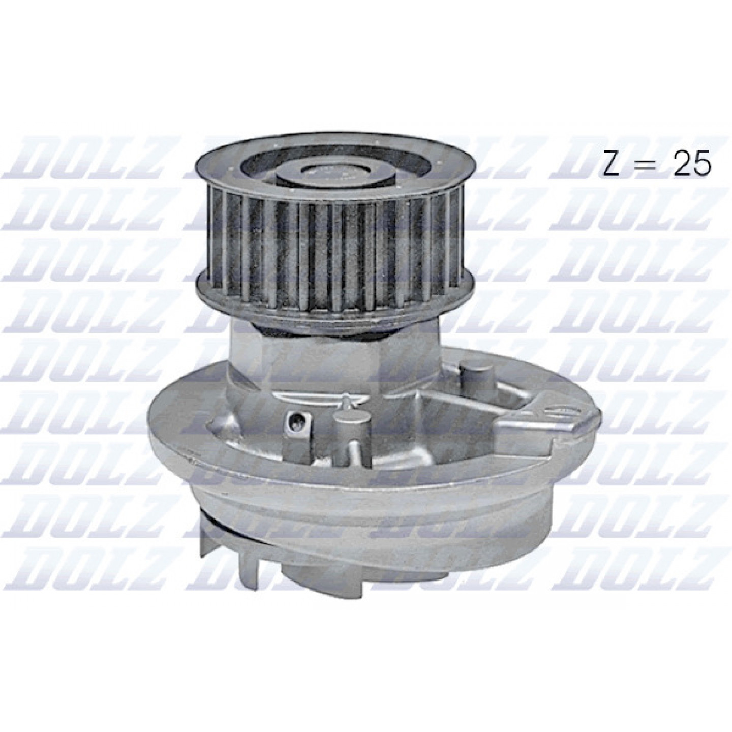 Pompe à eau DOLZ O138