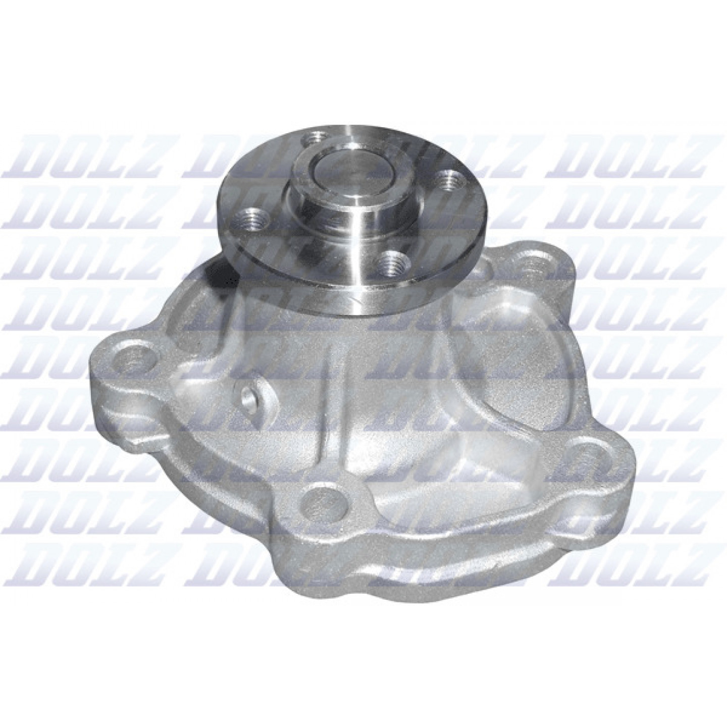 Pompe à eau DOLZ S242