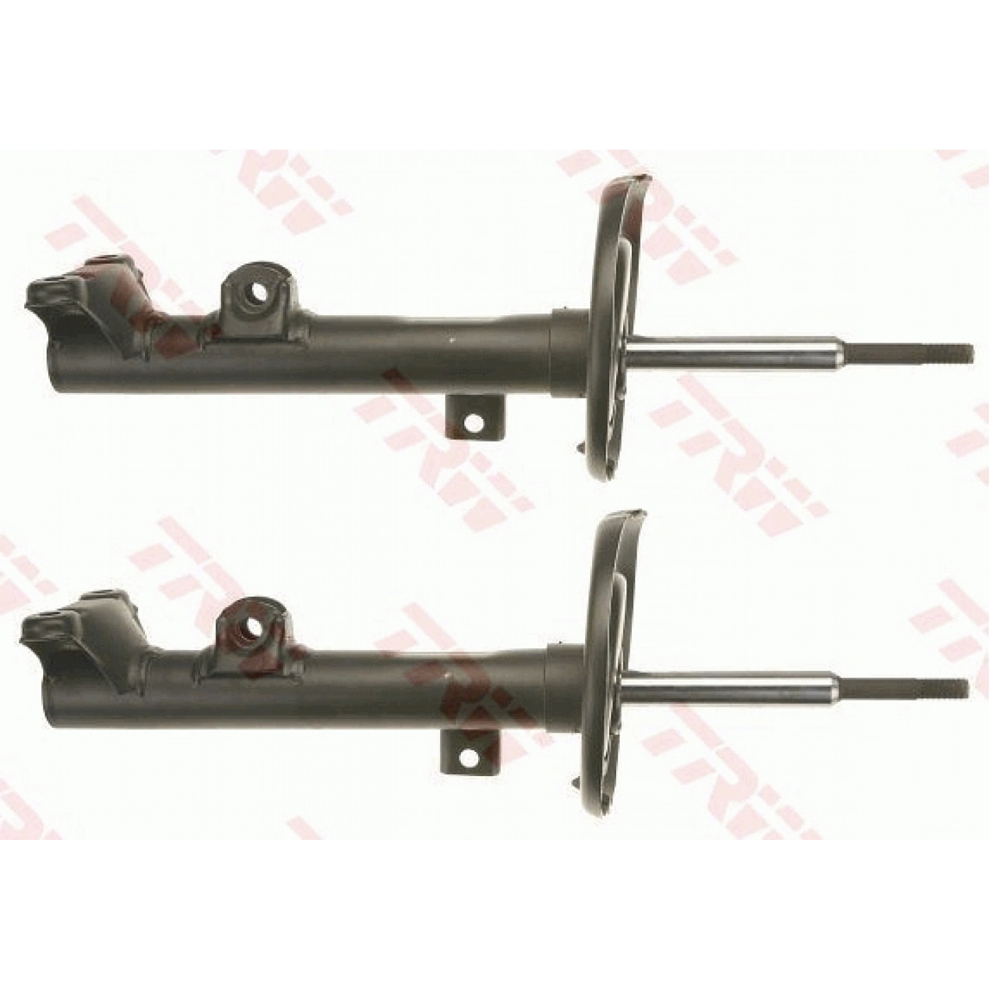 Trw Ammortizzatore Jgm1001t