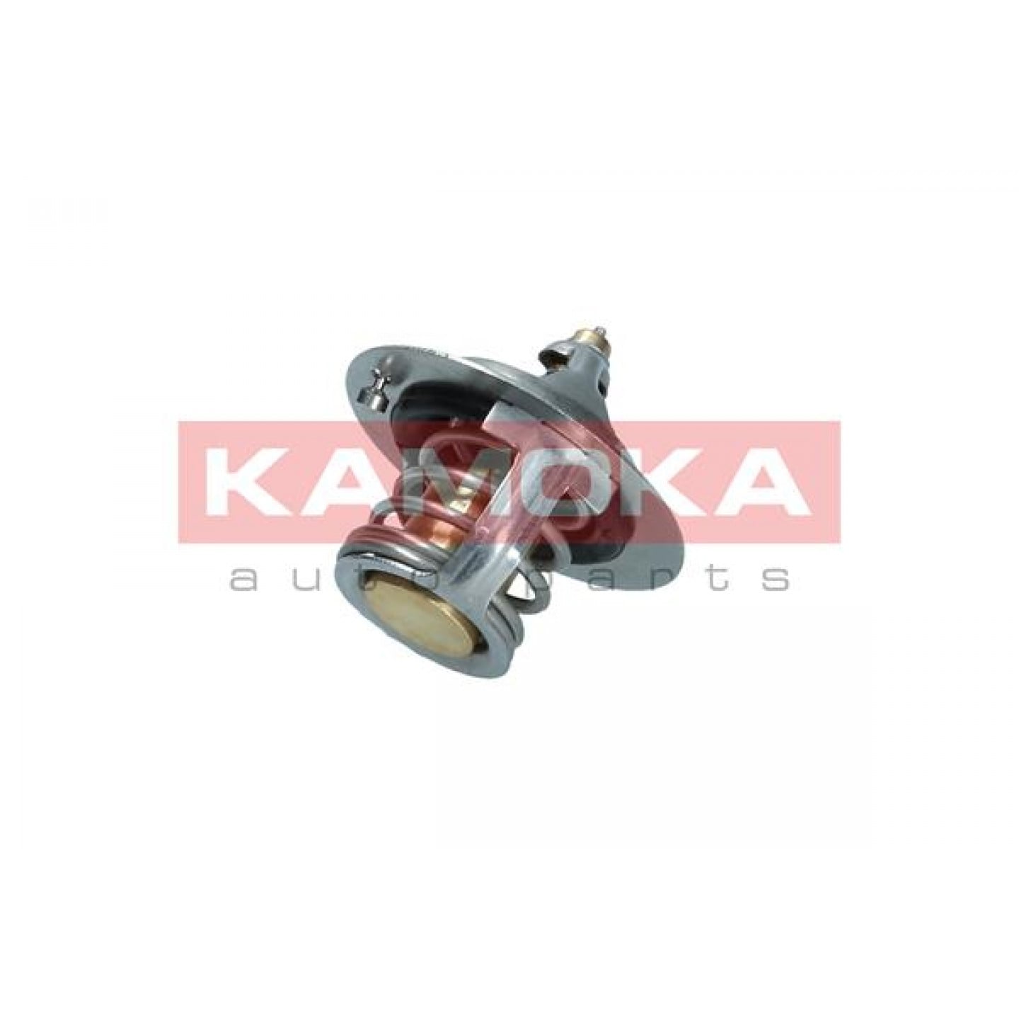 Thermostat d'eau KAMOKA 7710042