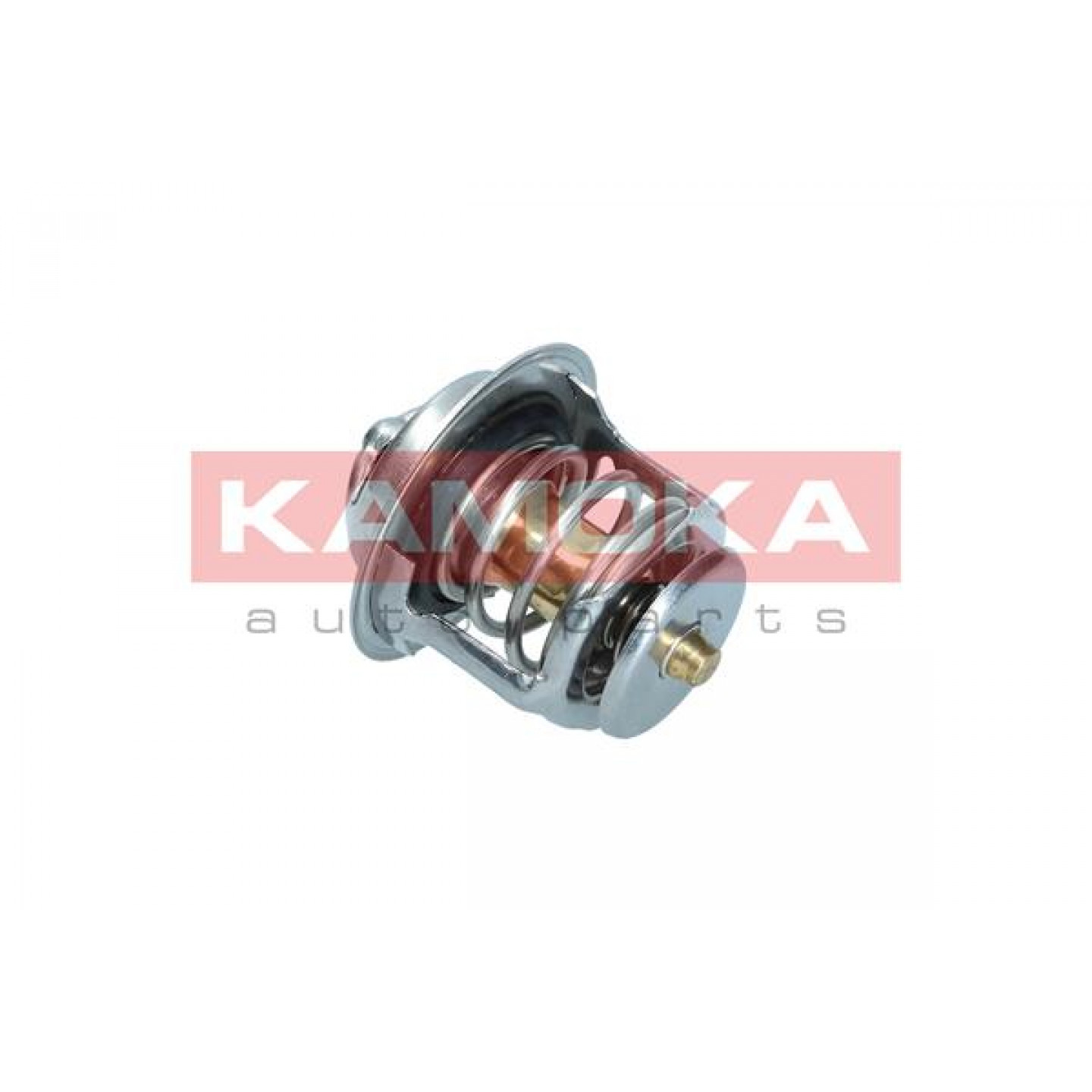 Thermostat d'eau KAMOKA 7710113