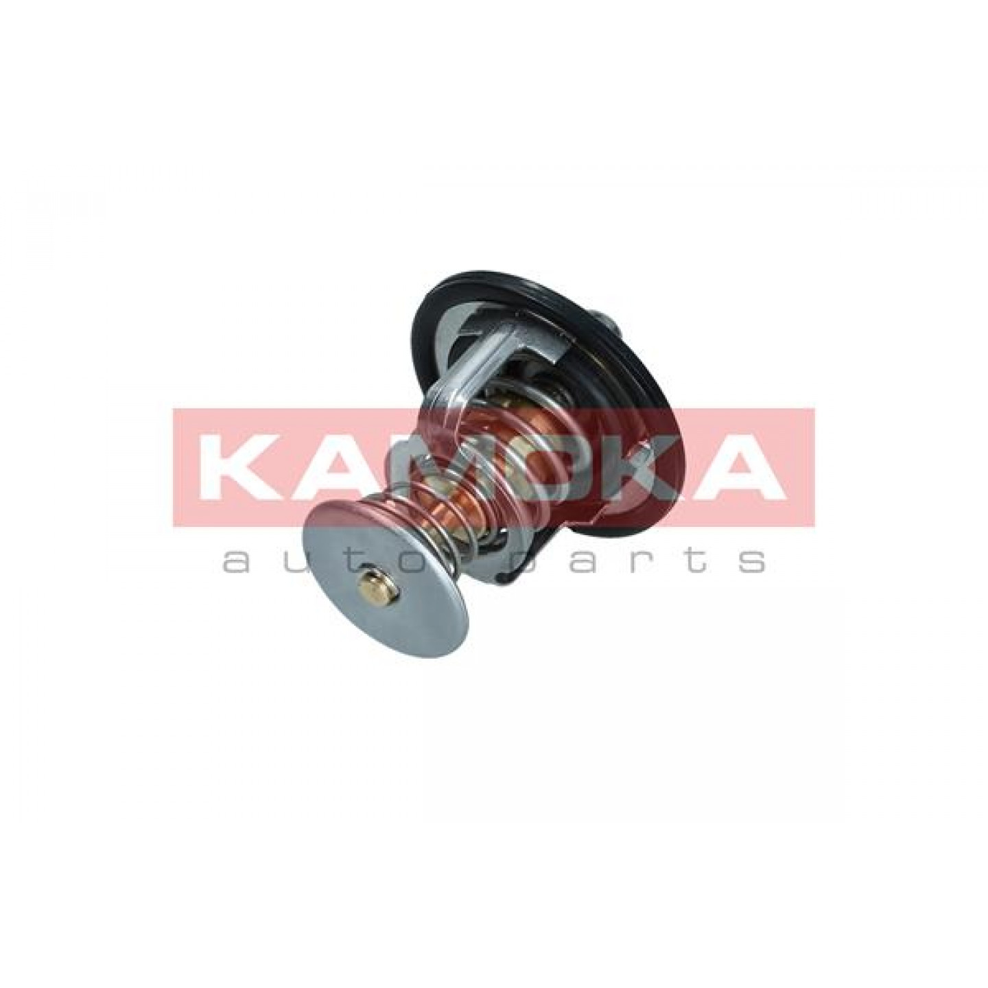 Thermostat d'eau KAMOKA 7710162