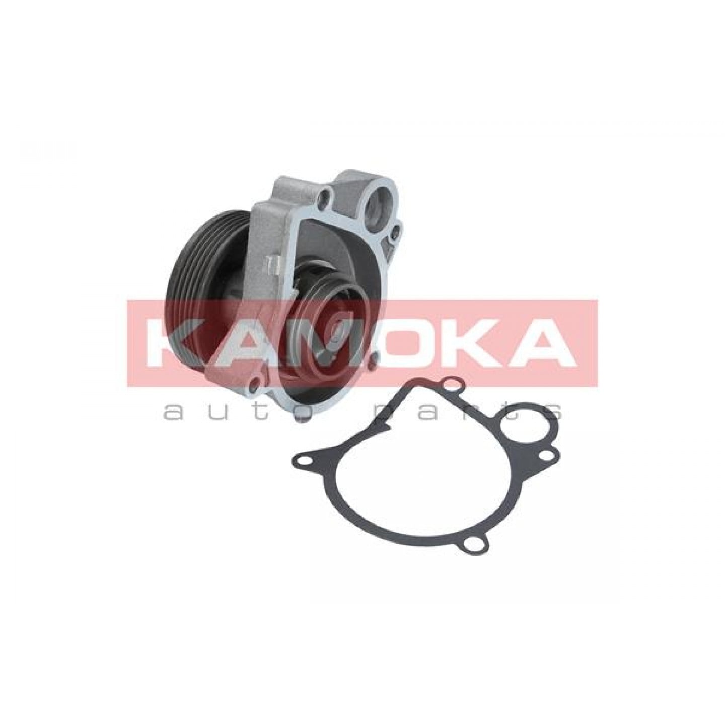 Pompe à eau KAMOKA T0061