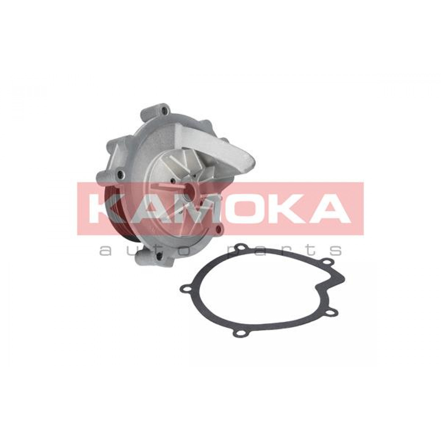Pompe à eau KAMOKA T0100