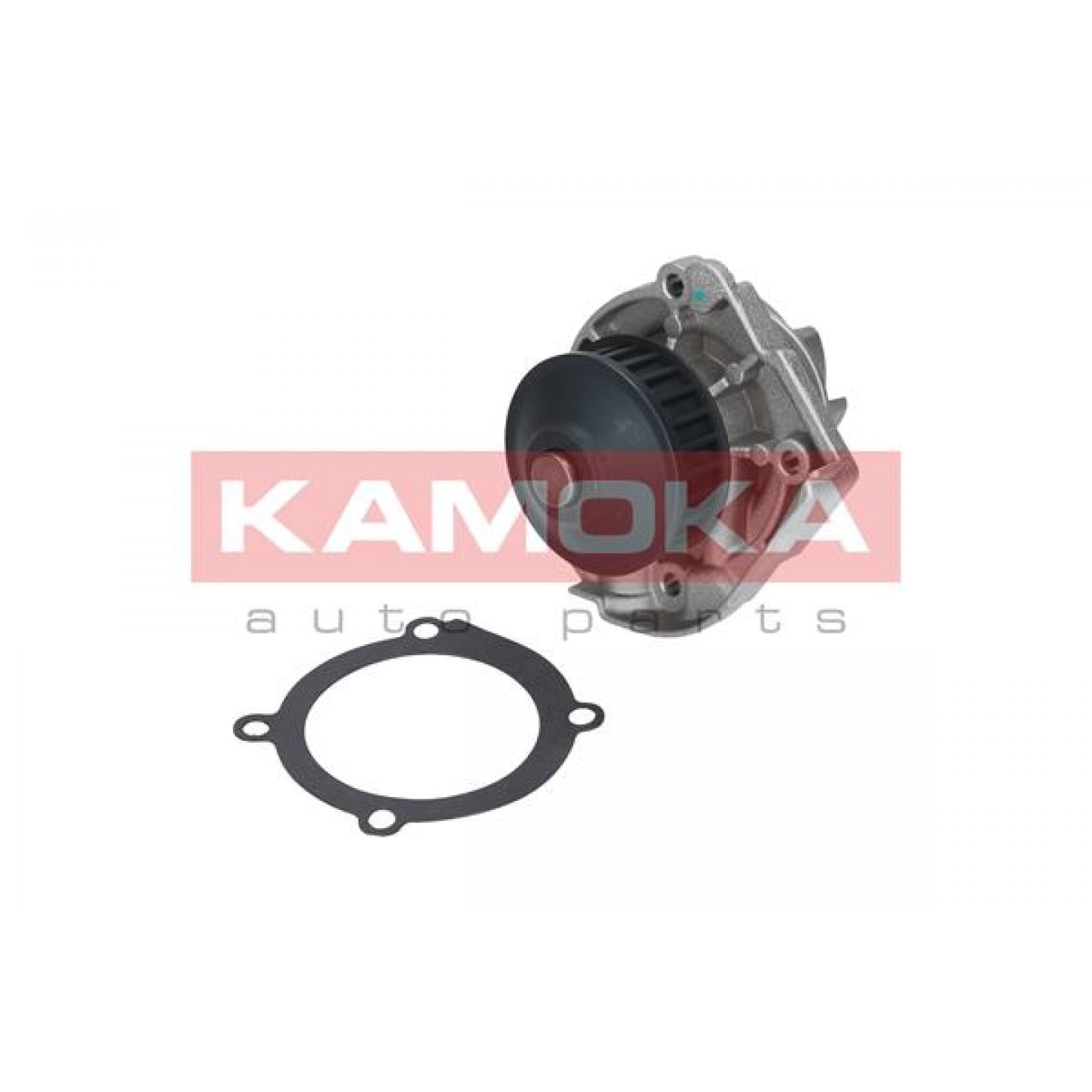 Pompe à eau KAMOKA T0118