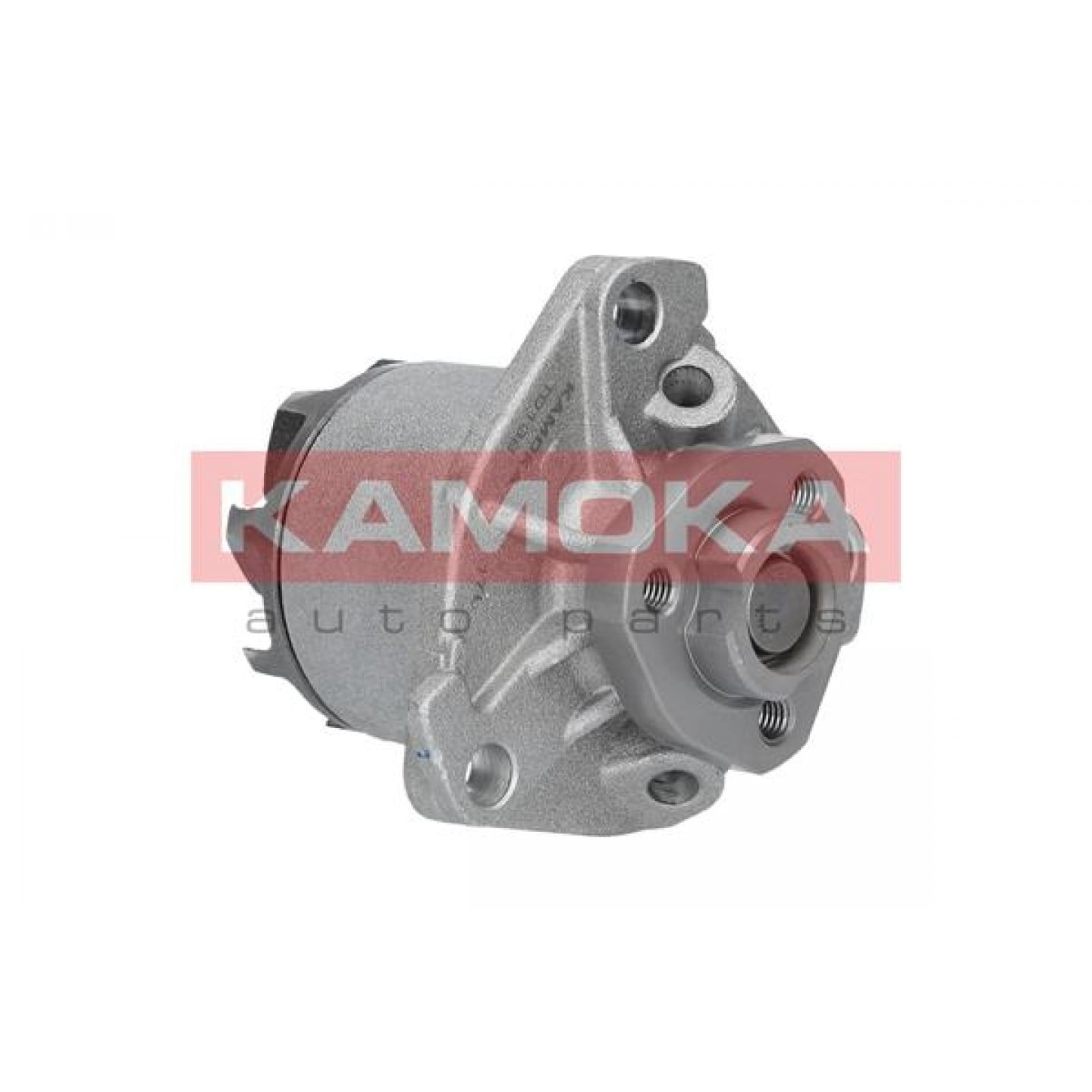 Pompe à eau KAMOKA T0138