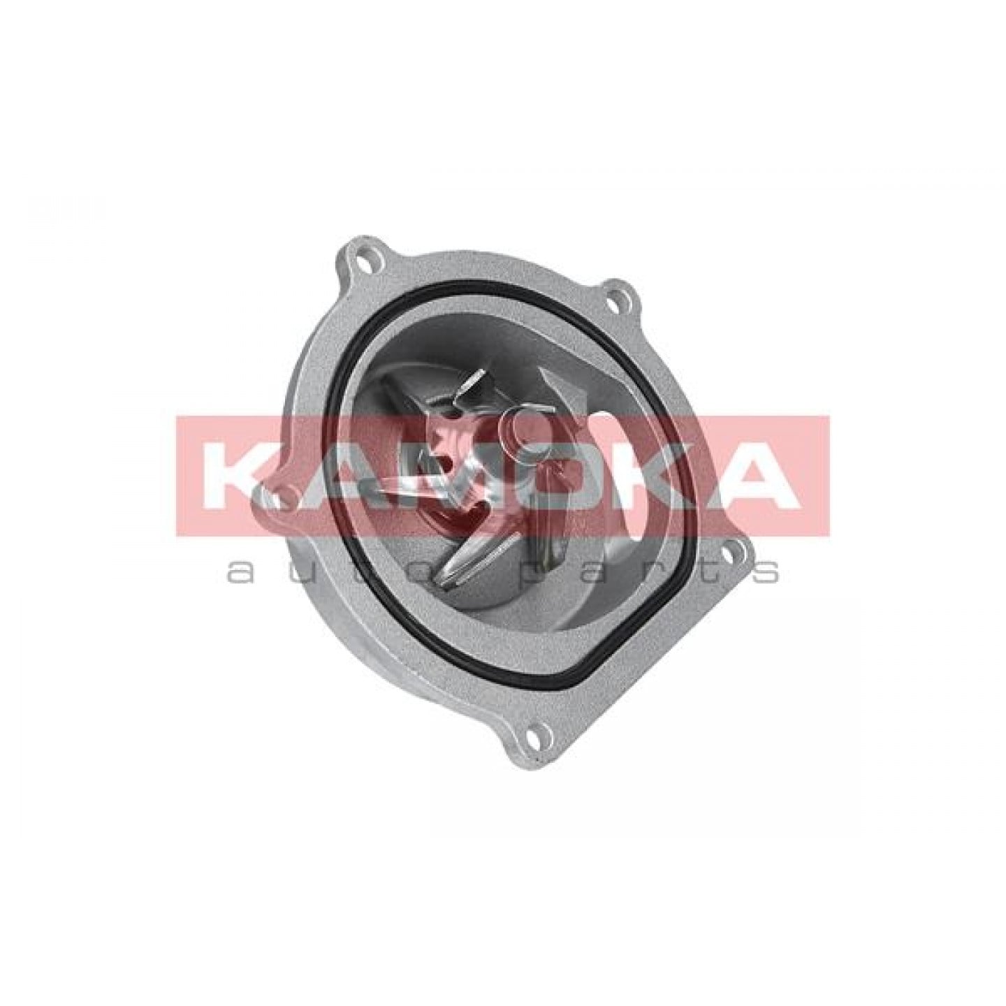 Pompe à eau KAMOKA T0145