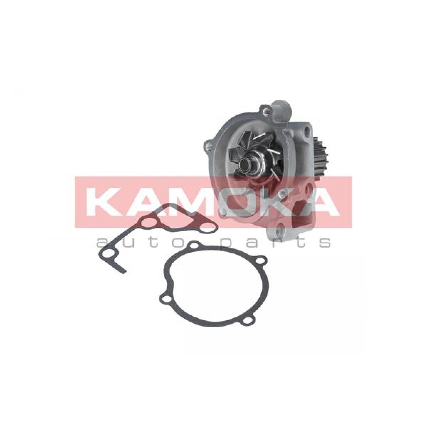 Pompe à eau KAMOKA T0170