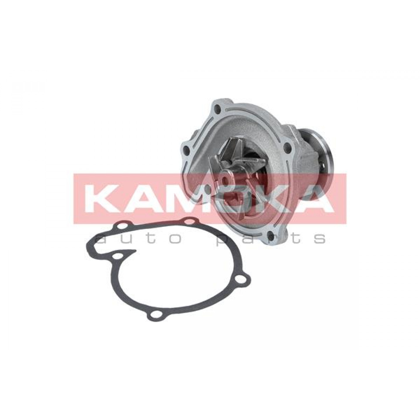 Pompe à eau KAMOKA T0218