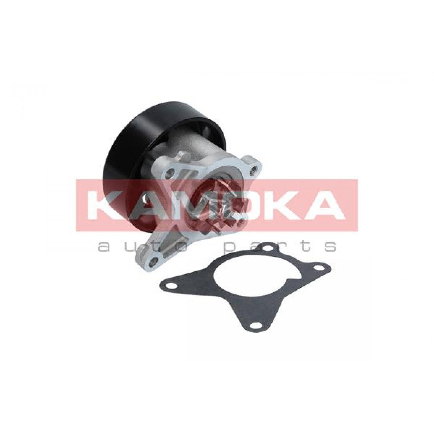 Pompe à eau KAMOKA T0223