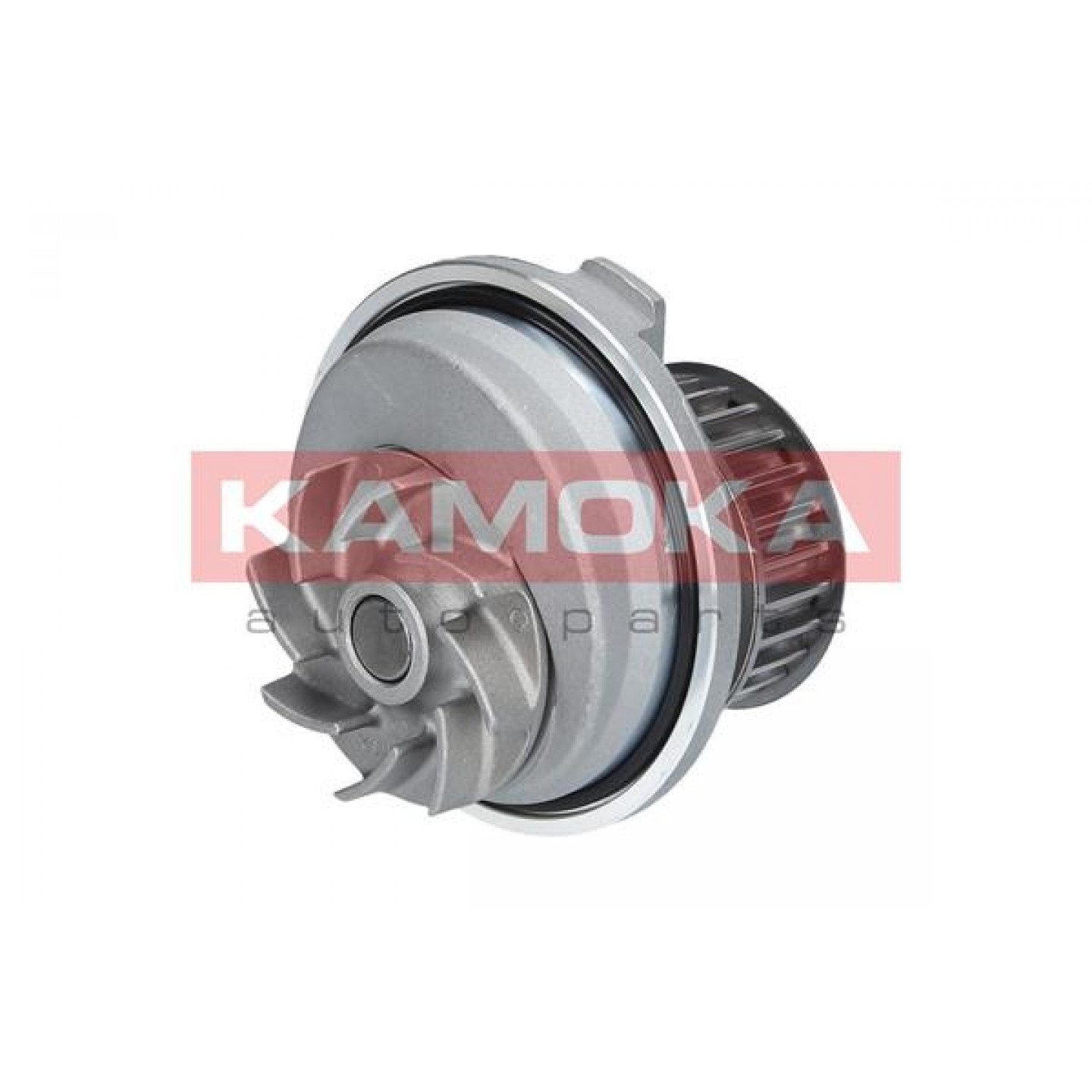 Pompe à eau KAMOKA T0229
