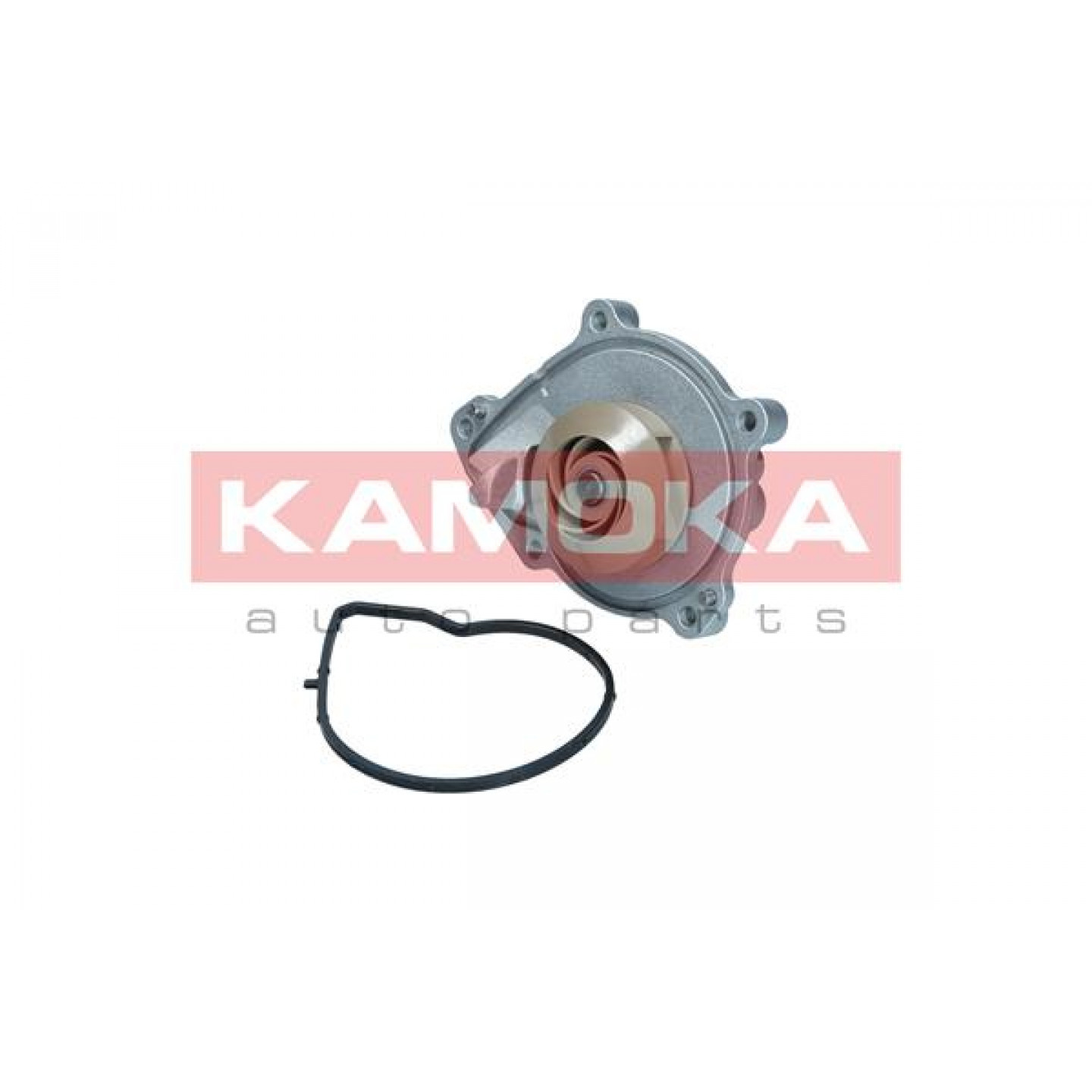 Pompe à eau KAMOKA T0050