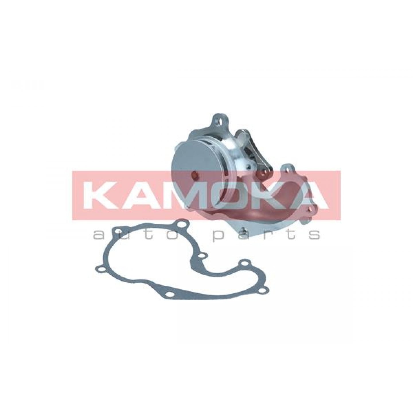 Pompe à eau KAMOKA T0128