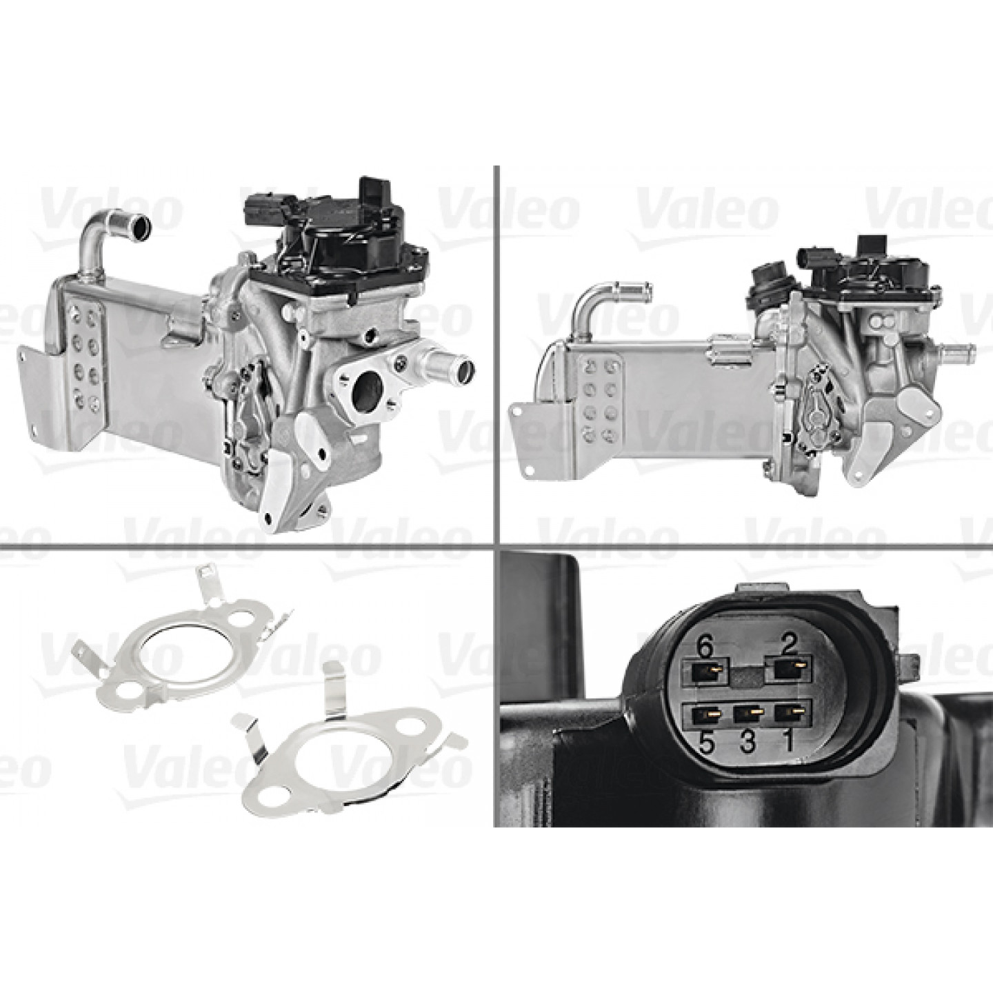 AGR-Modul VALEO 700436