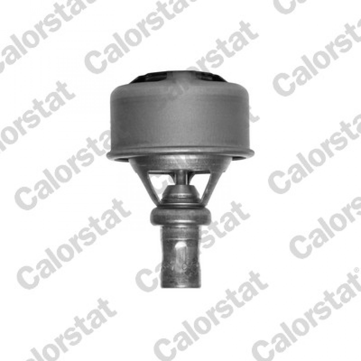 Thermostat, Kühlmittel CALORSTAT by Vernet TH4495.89