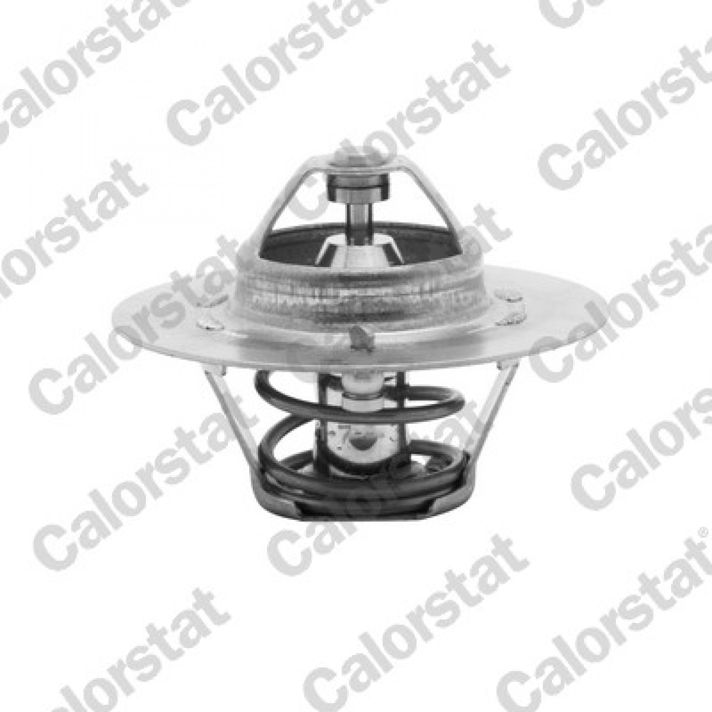 Thermostat, Kühlmittel CALORSTAT by Vernet TH4608.80J