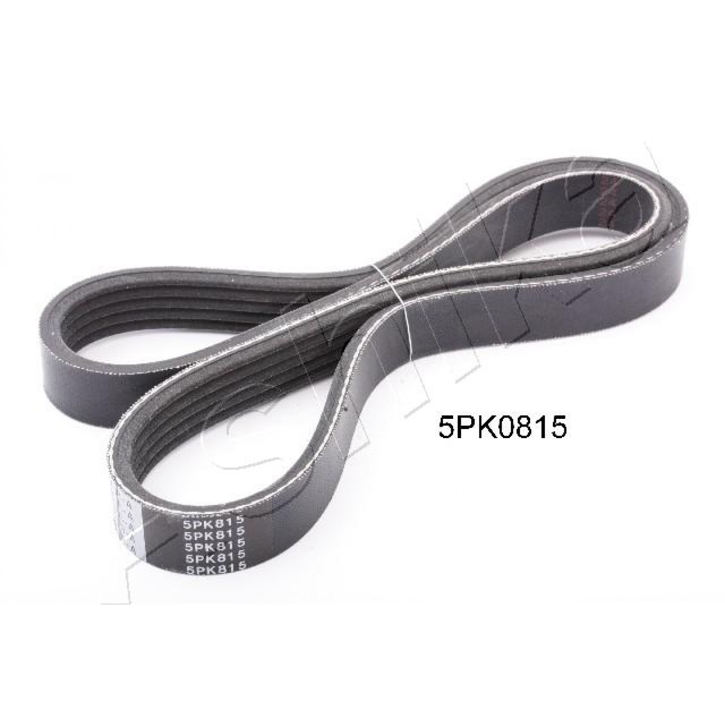 Ashika Cinghia Poly-V 112-5Pk815