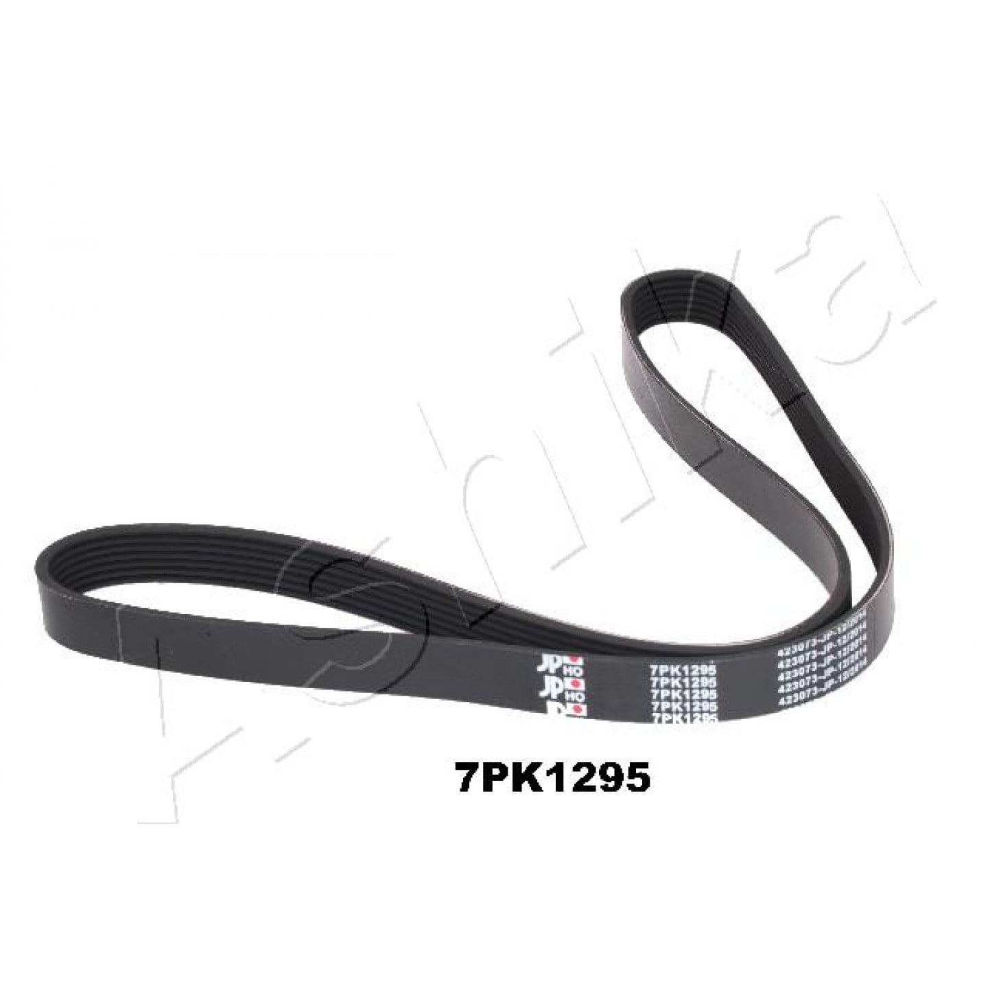 Ashika Cinghia Poly-V 112-7Pk1295