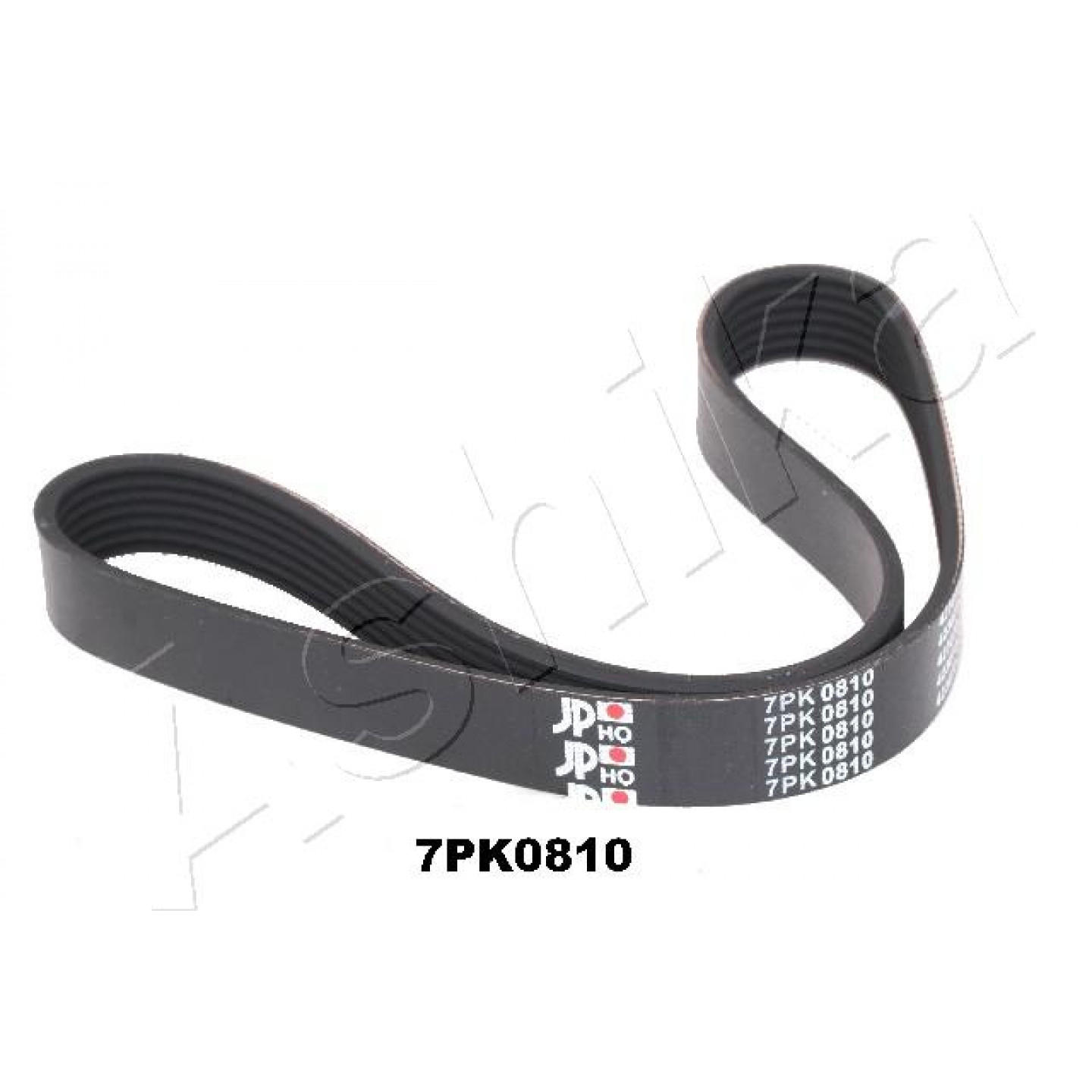 Ashika Cinghia Poly-V 112-7Pk810