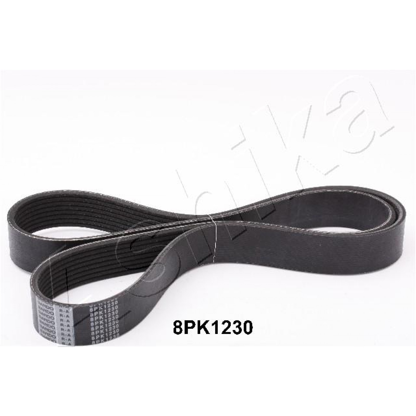 Ashika Poly V-Riem 112-8Pk1230
