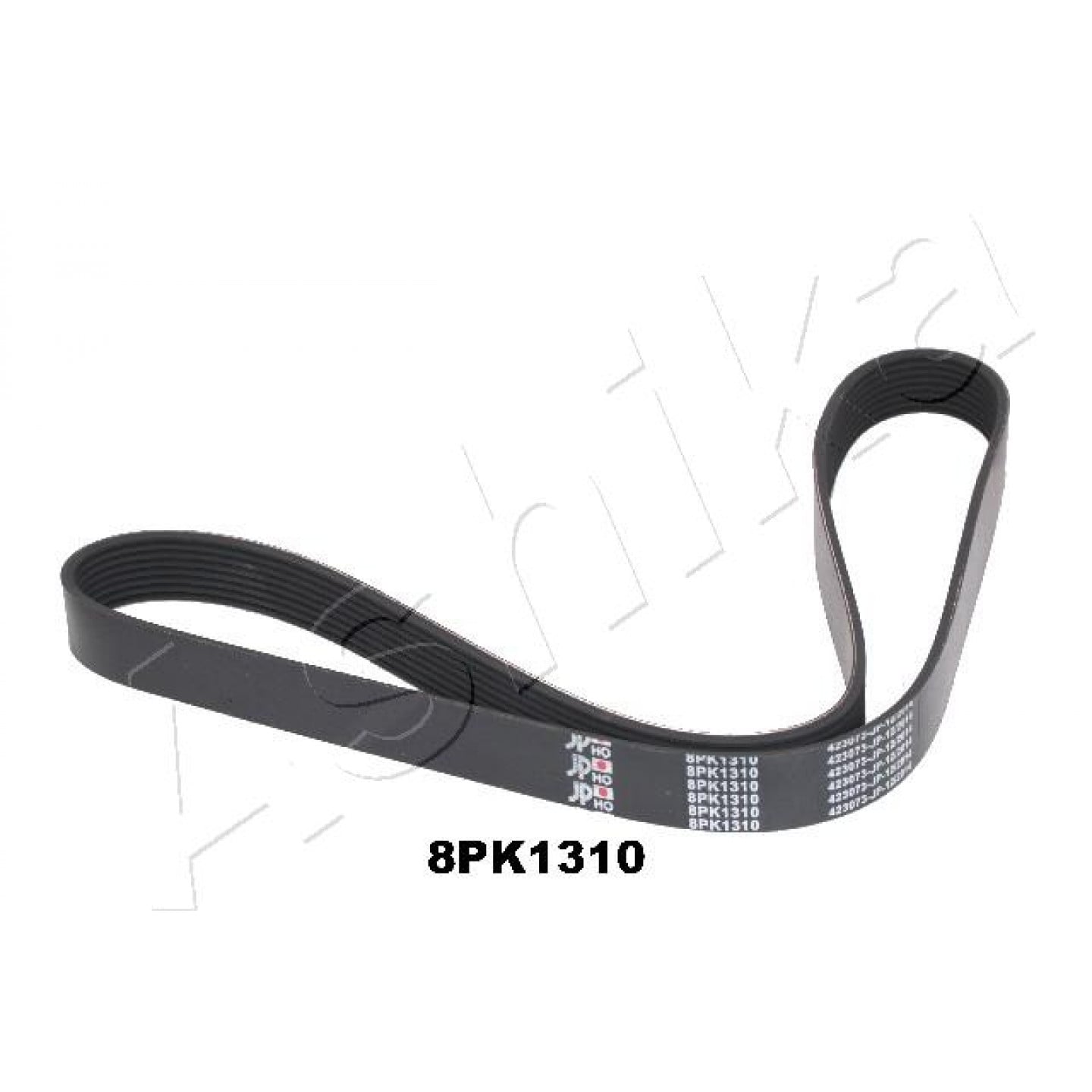 Ashika Cinghia Poly-V 112-8Pk1310