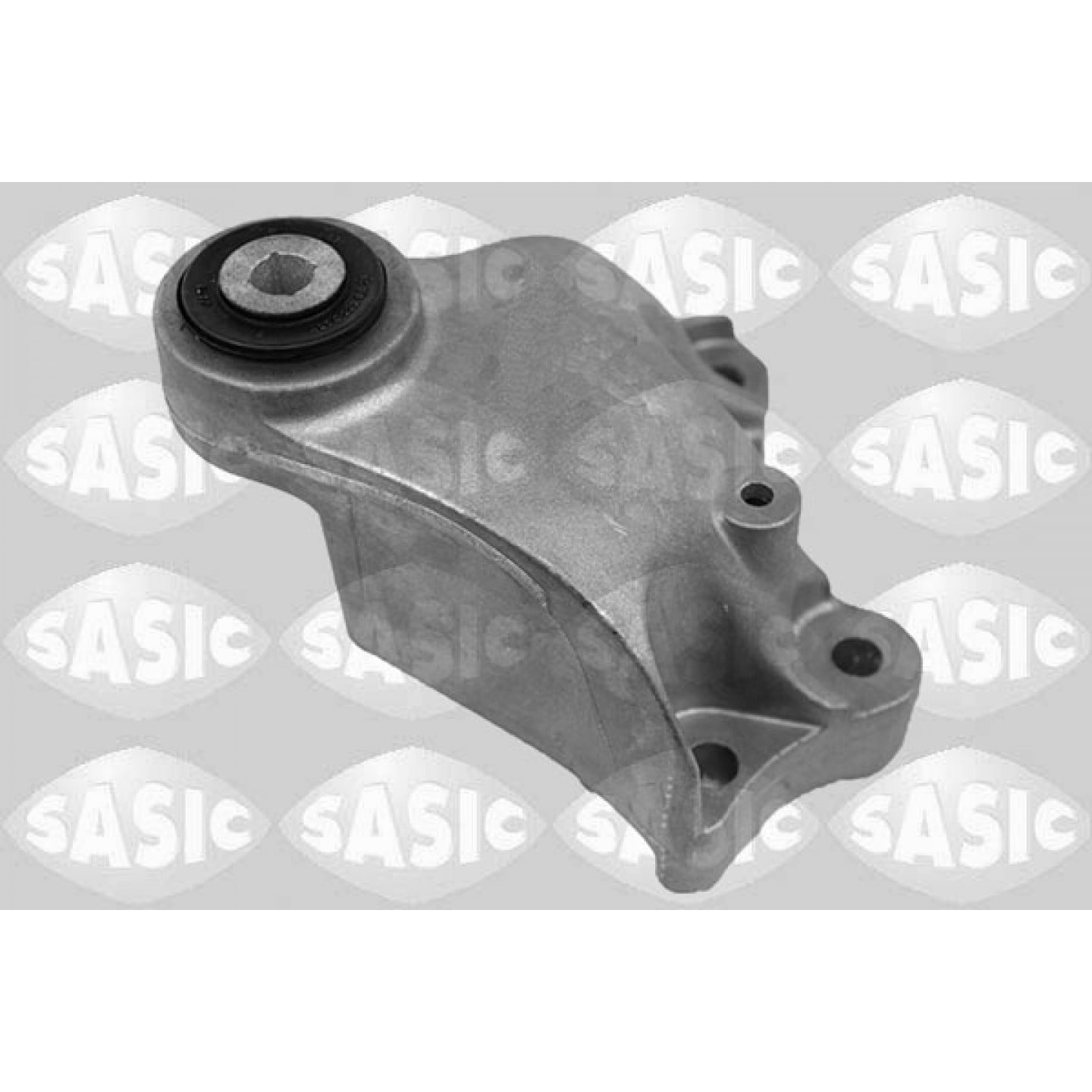 Aslichaam-/motorsteunlager SASIC 2706269