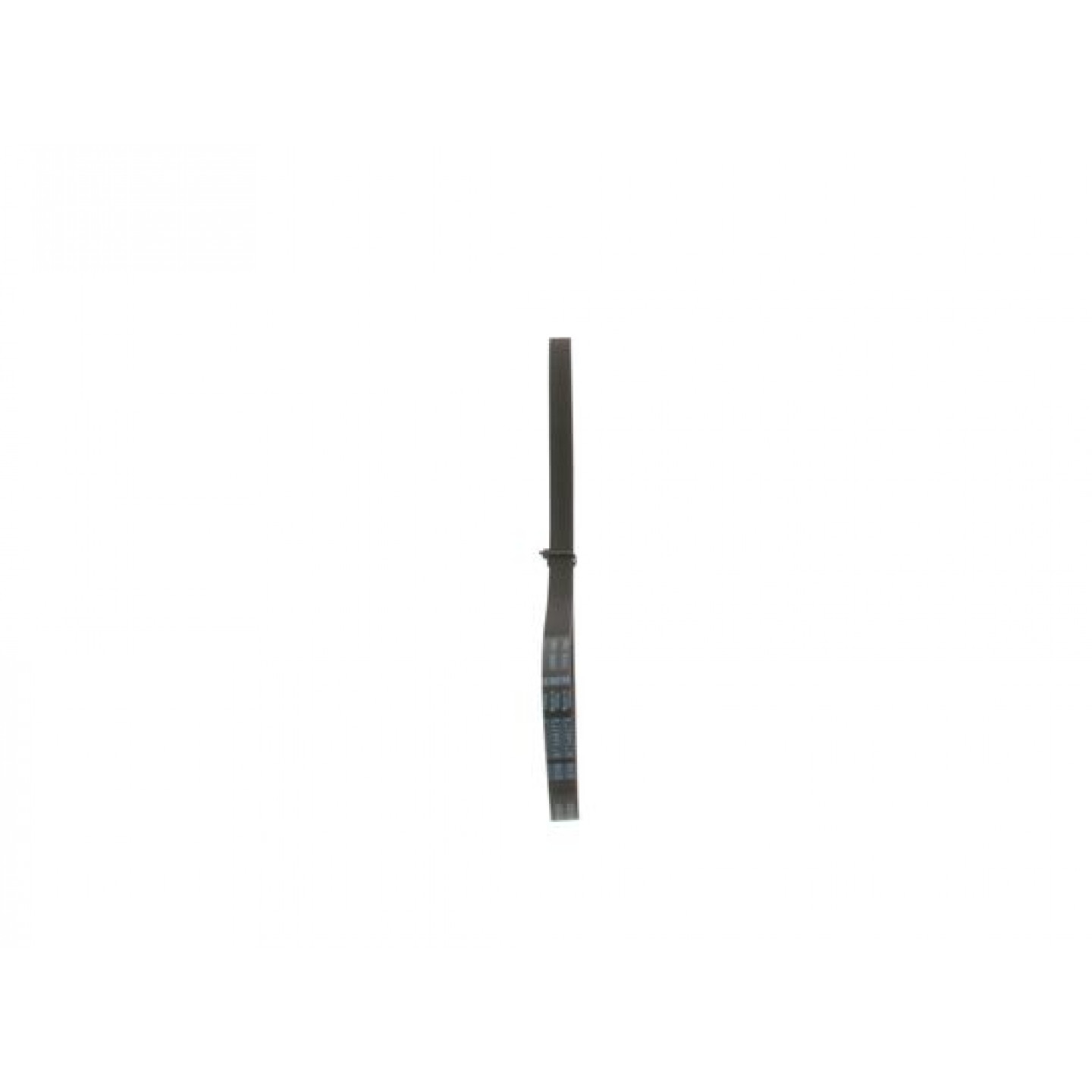 V-Ribbed Belt BOSCH 1 987 947 895 - Trodo.com