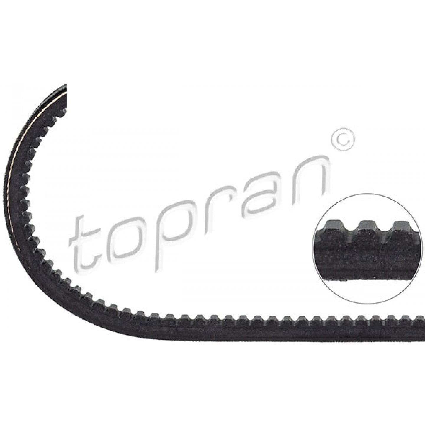 Correa trapezoidal TOPRAN 100 241