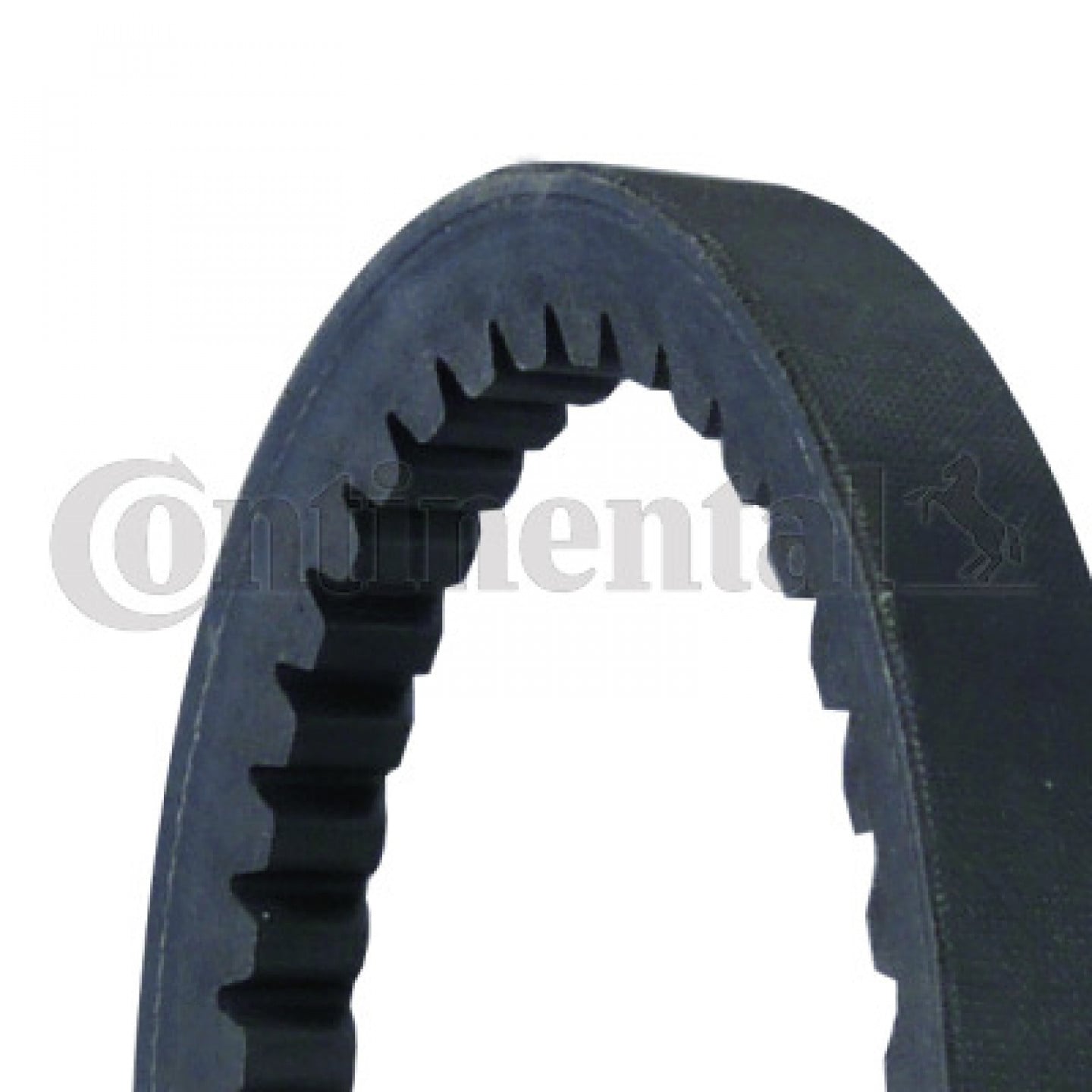 V-riem CONTITECH AVX17X1000