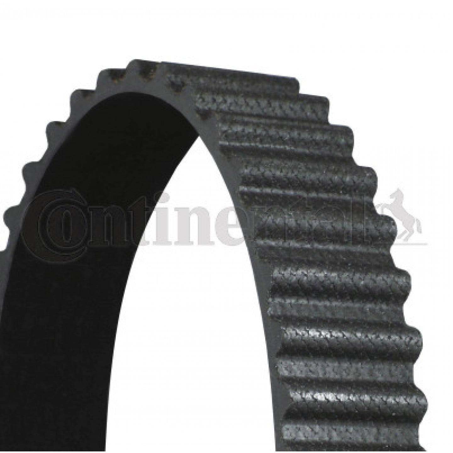 Cinghia dentata CONTITECH CT1238
