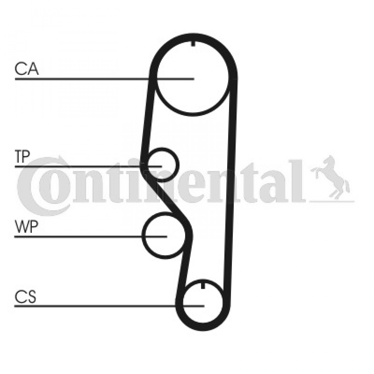 Correia dentada CONTITECH CT557