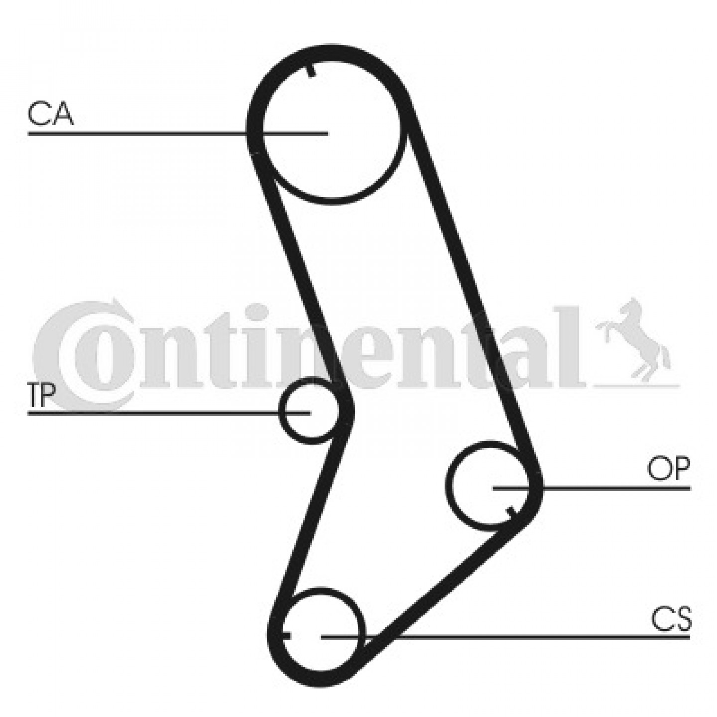 Correa de distribución CONTITECH CT647