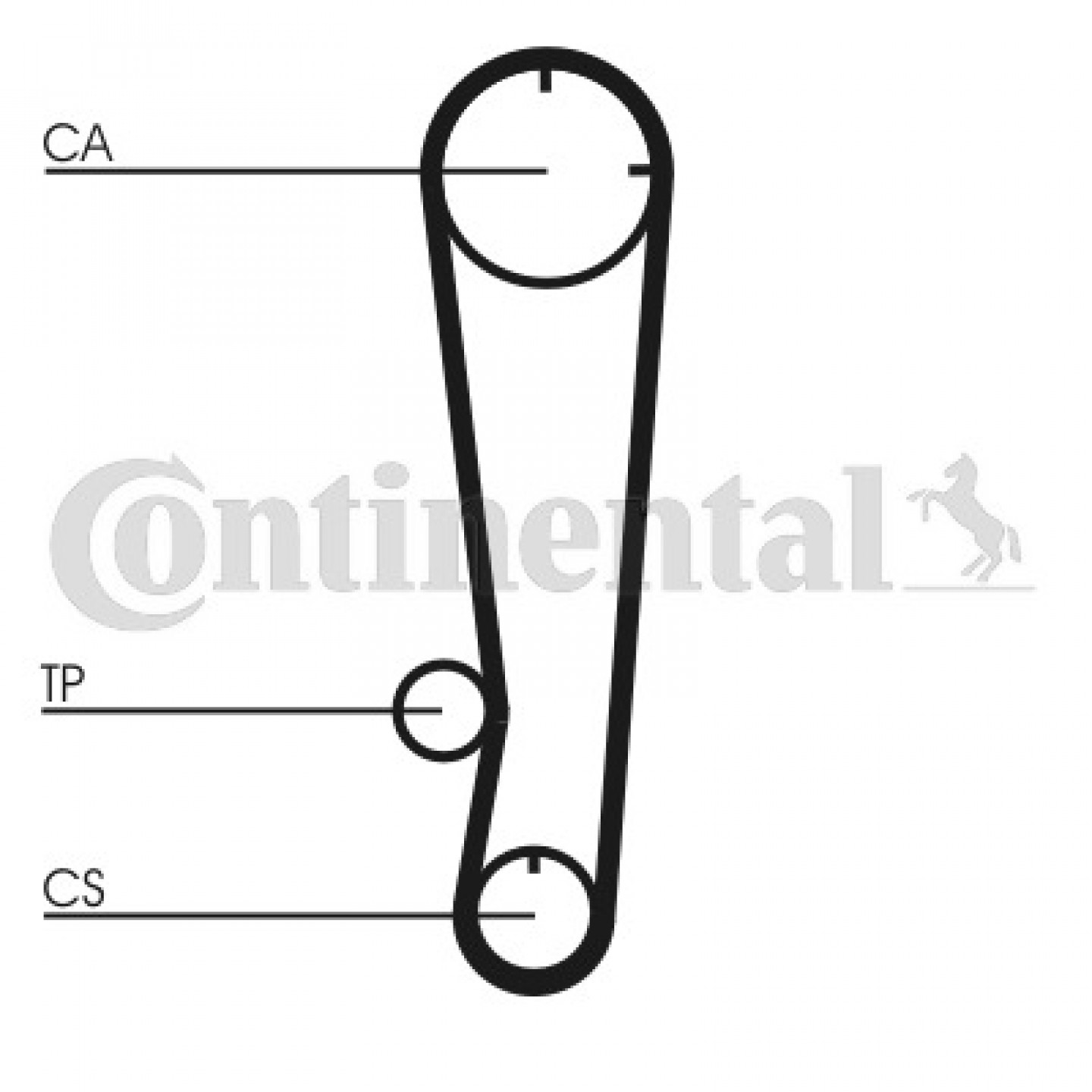 Distributieriemset CONTITECH CT738K1