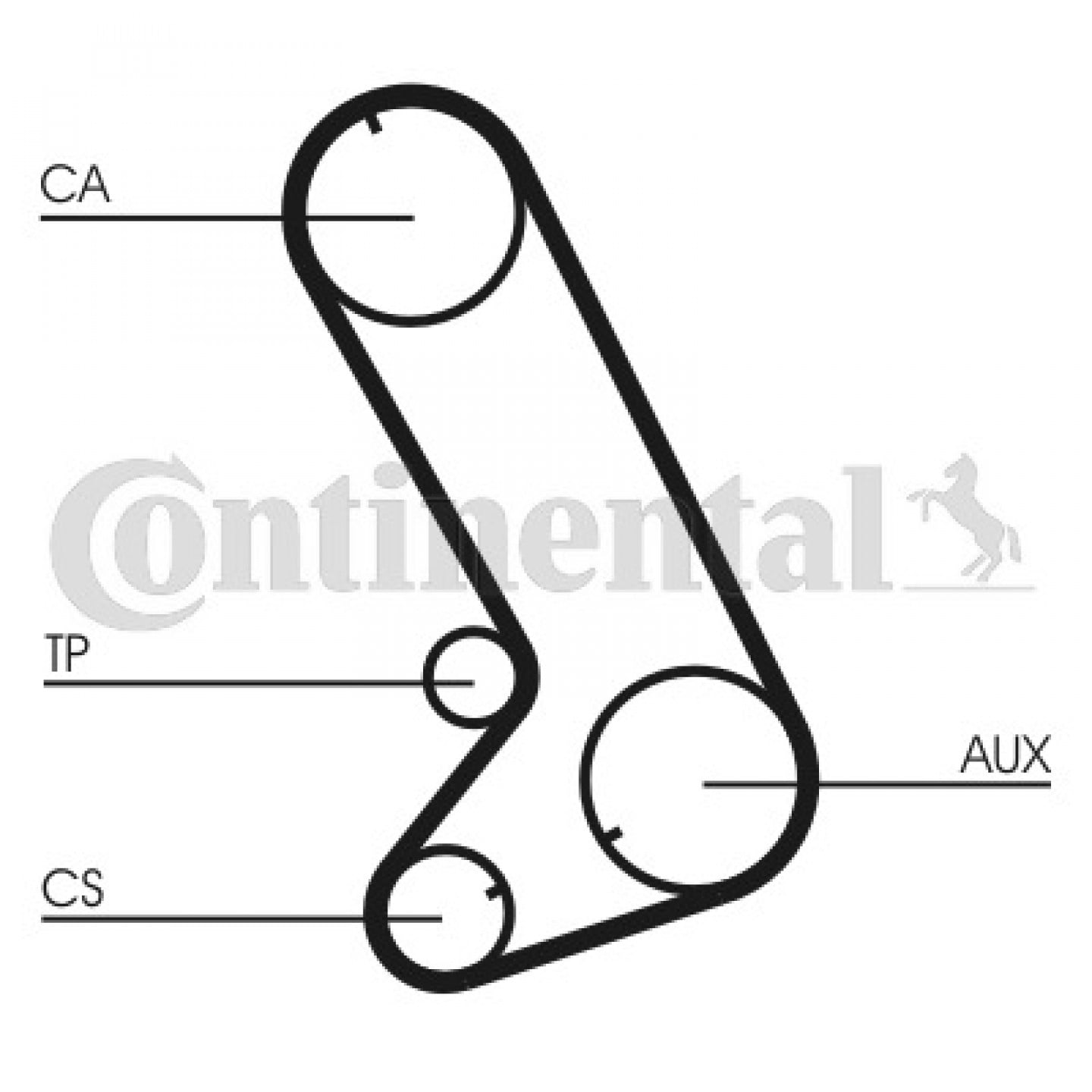 Cinghia dentata CONTITECH CT773