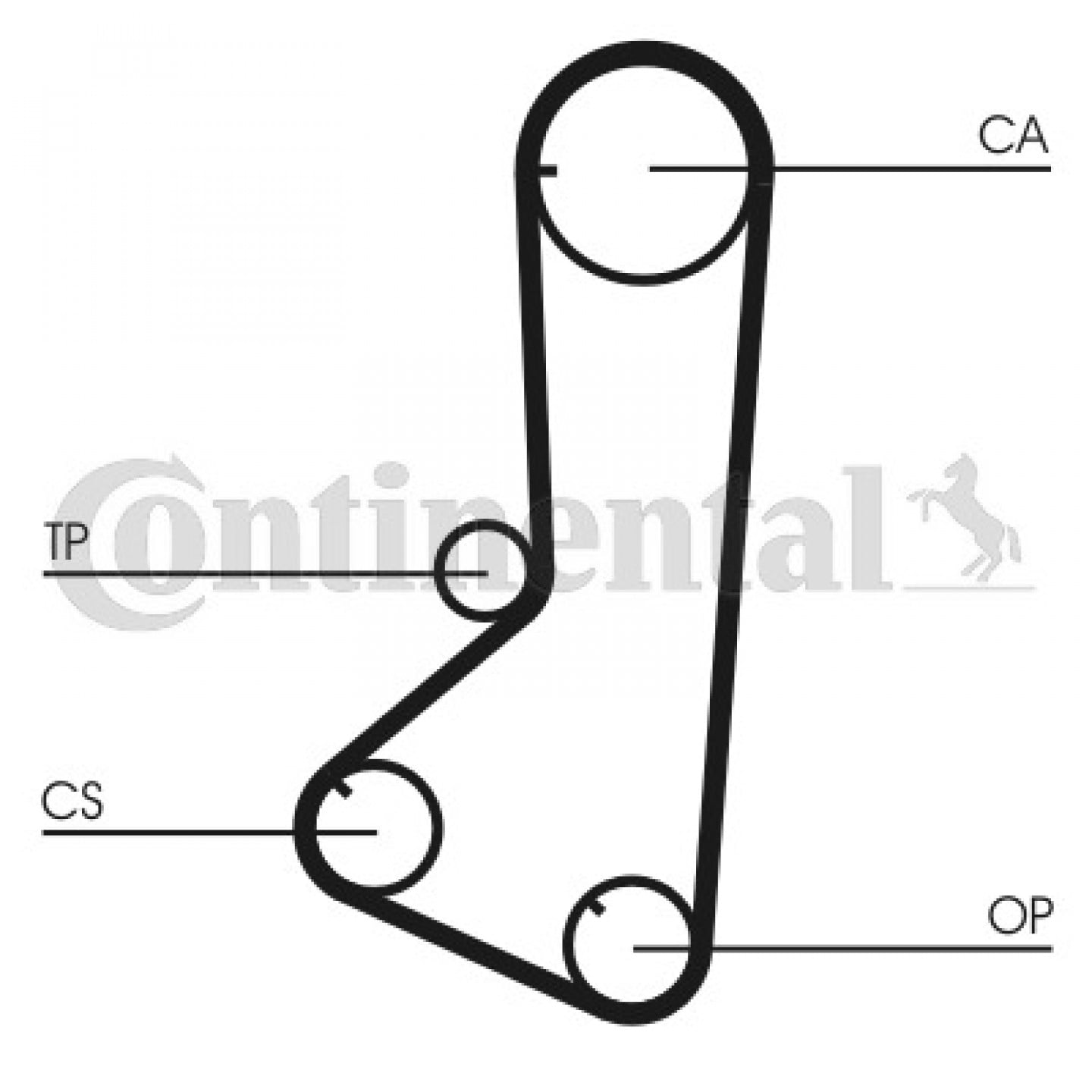 Cinghia dentata CONTITECH CT802