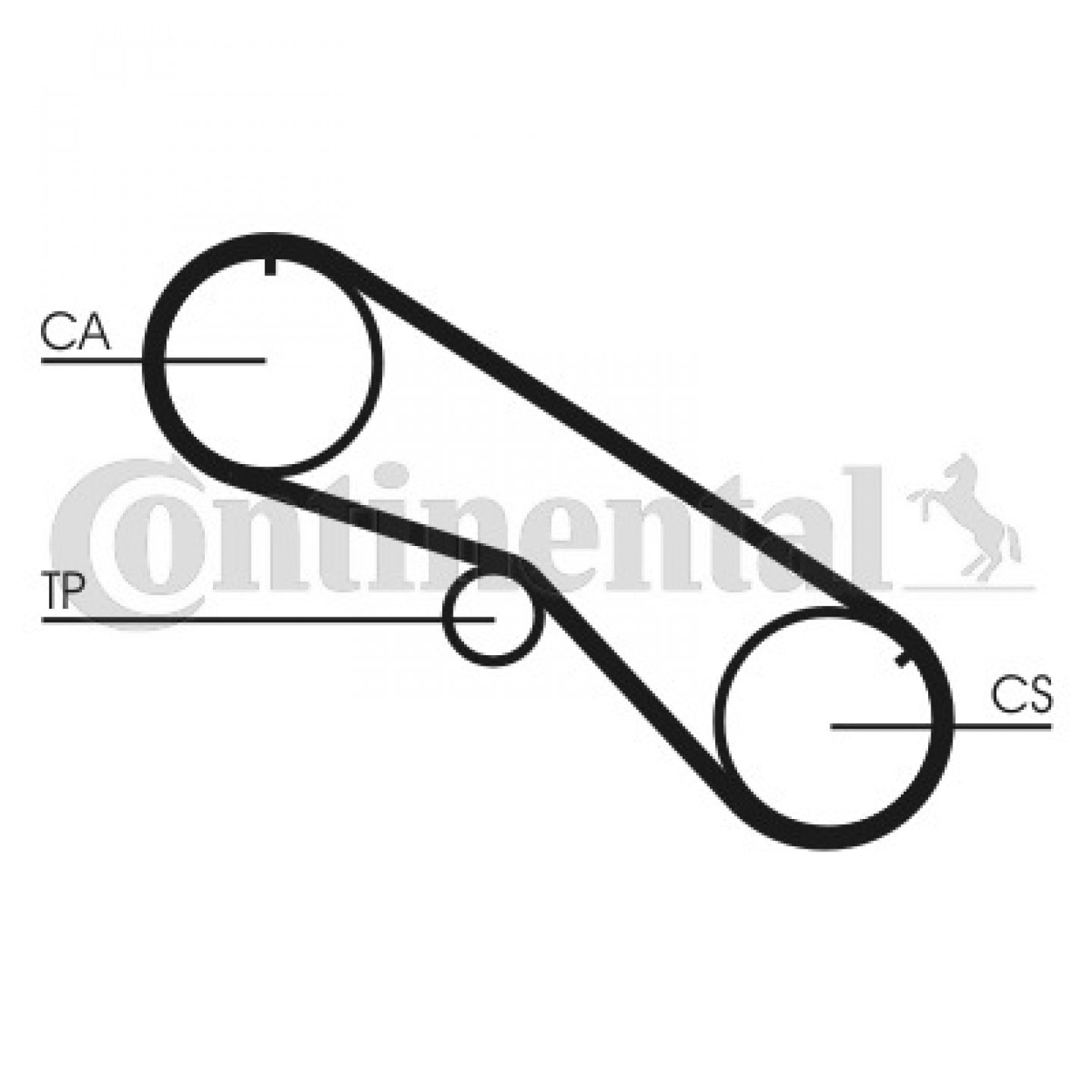 Correia dentada CONTITECH CT818