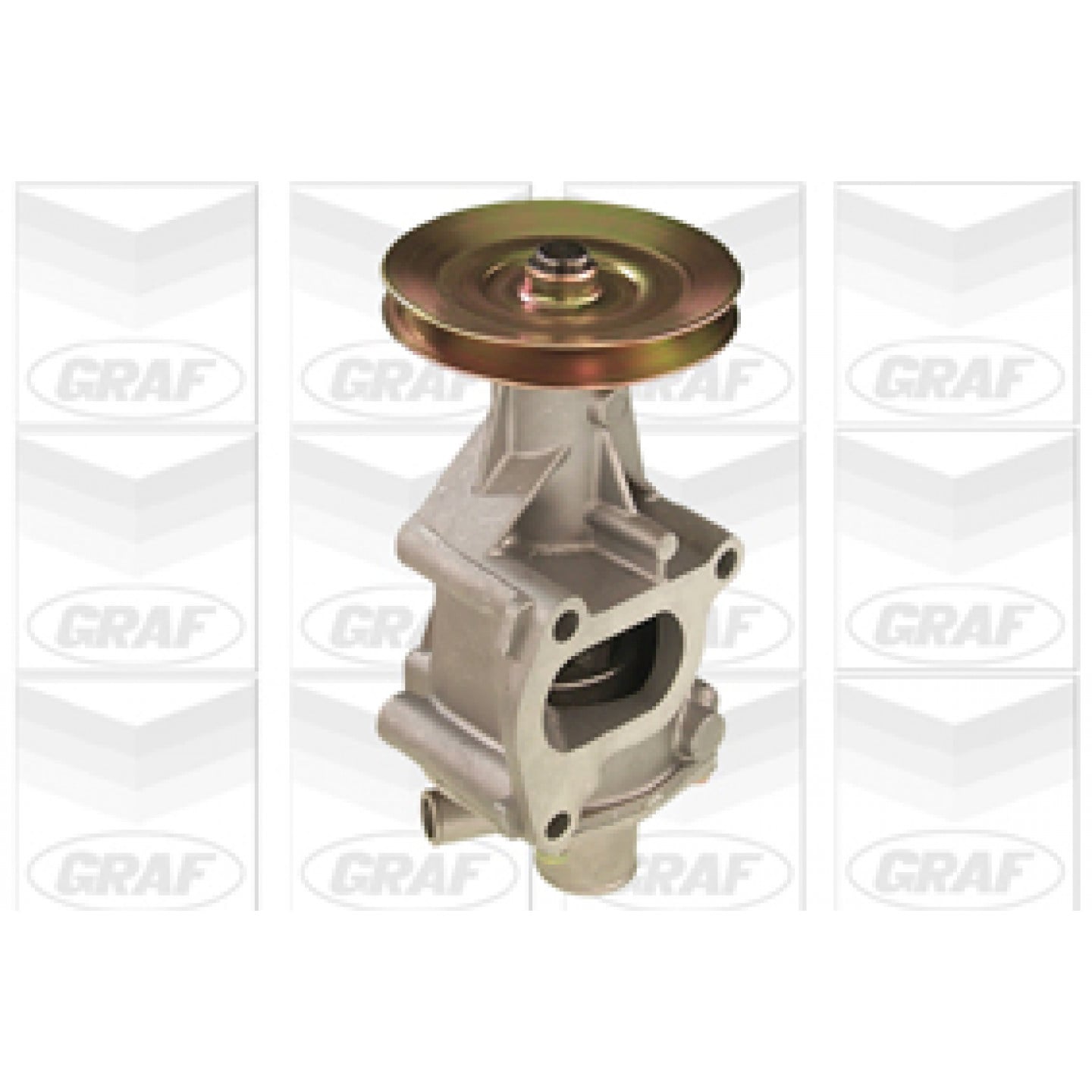 Graf Waterpomp Pa451
