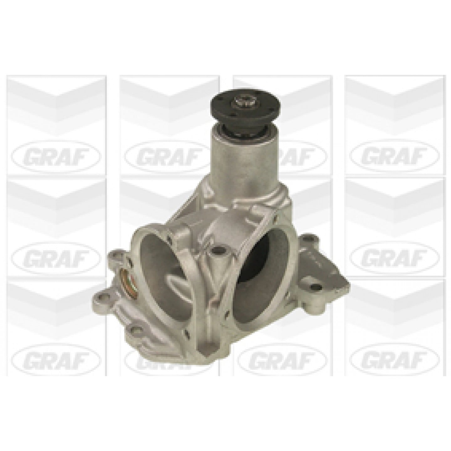 Graf Pompa Dell'acqua Pa613