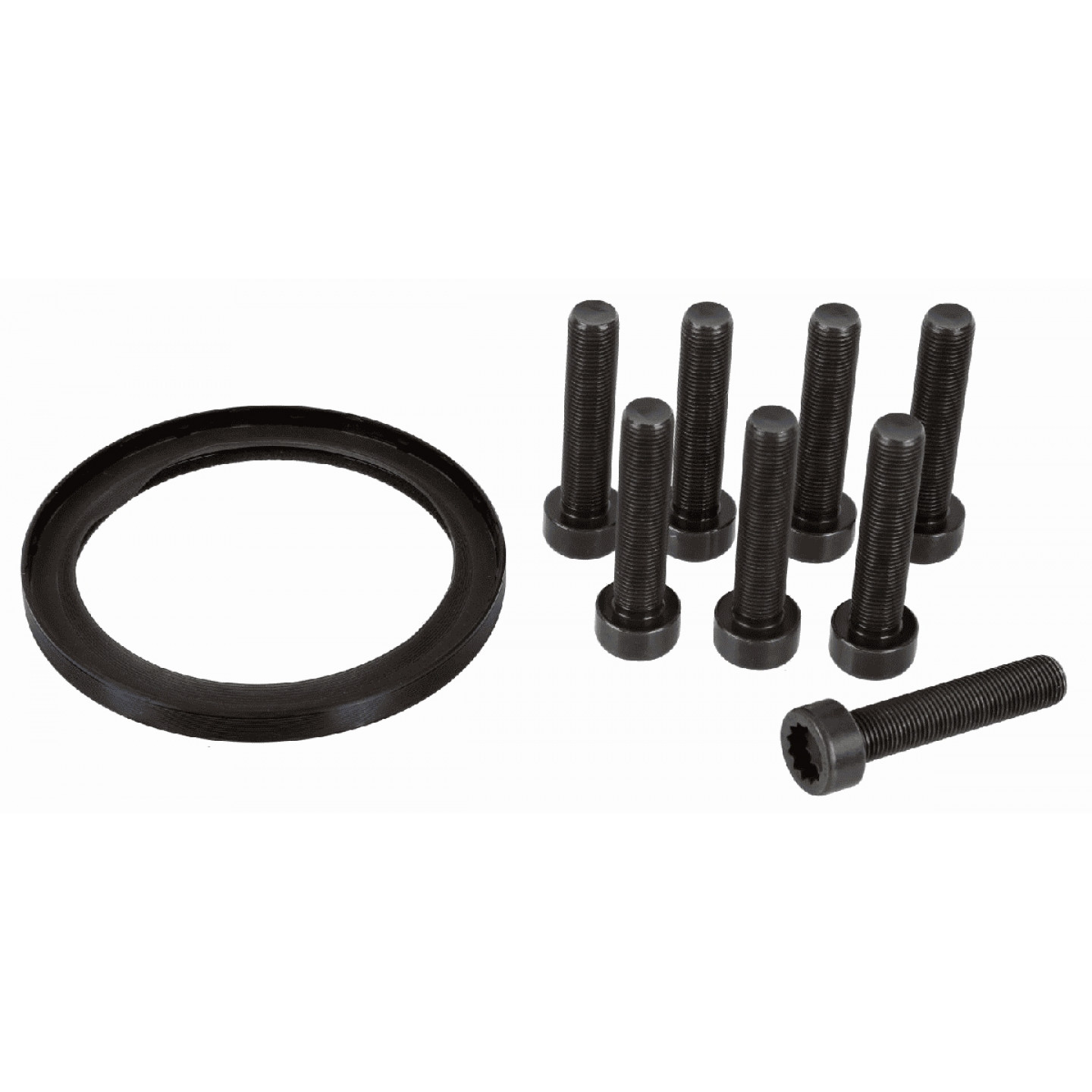 Reparatieset, vliegwiel SACHS 3423 601 009