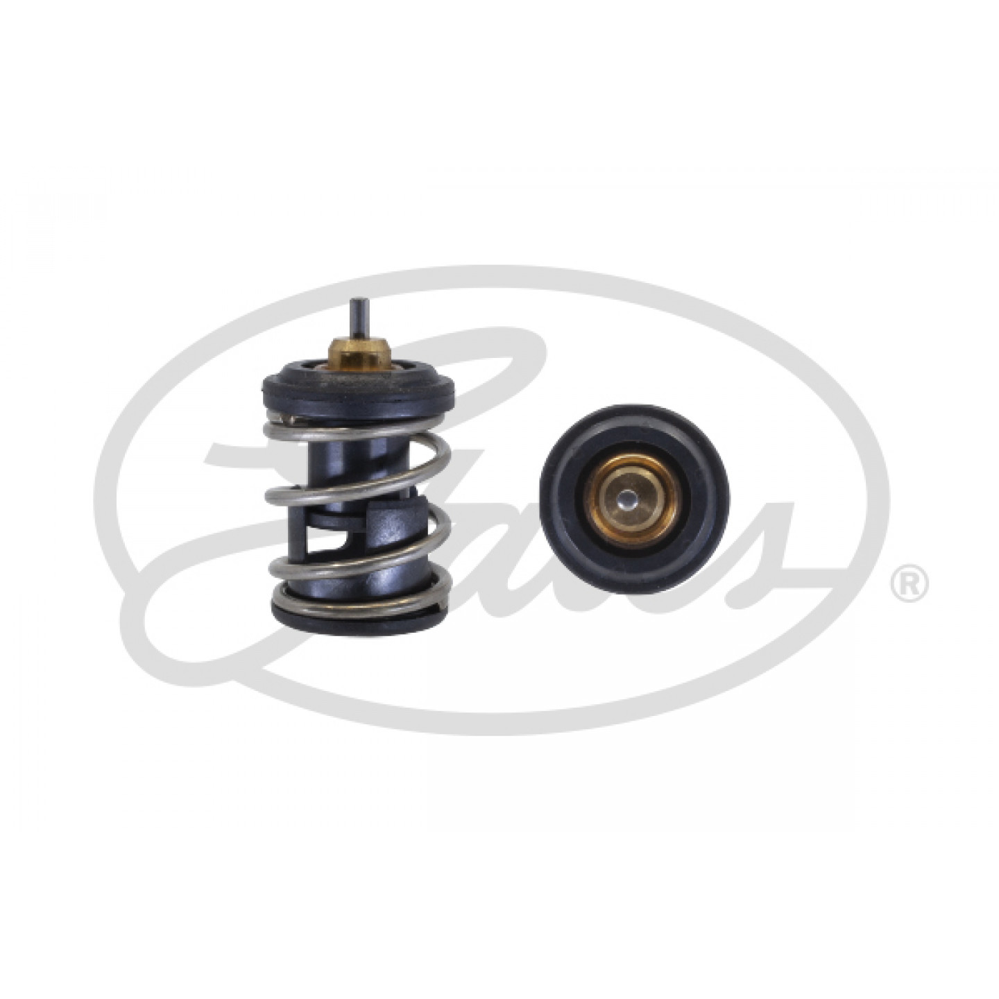 Thermostat d'eau GATES TH63497G1