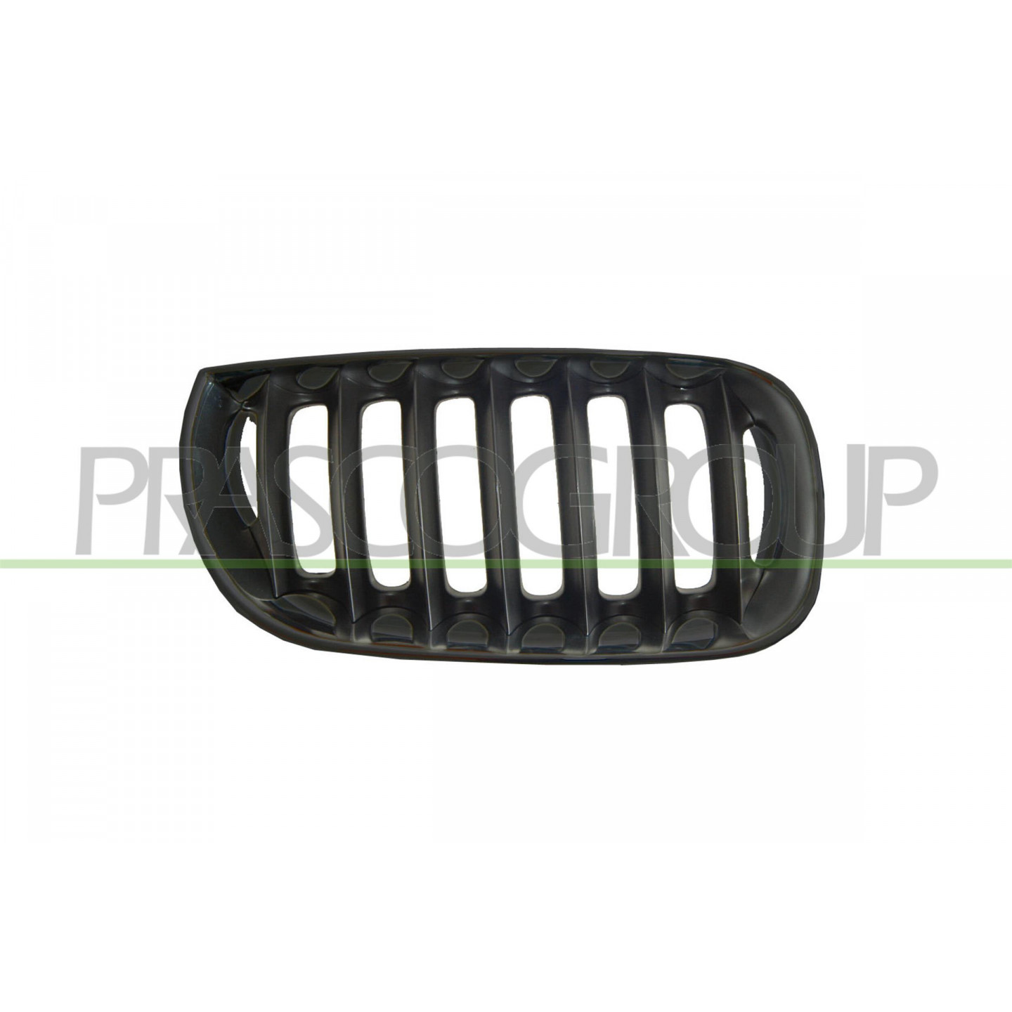 Grille de radiateur PRASCO BM8022013